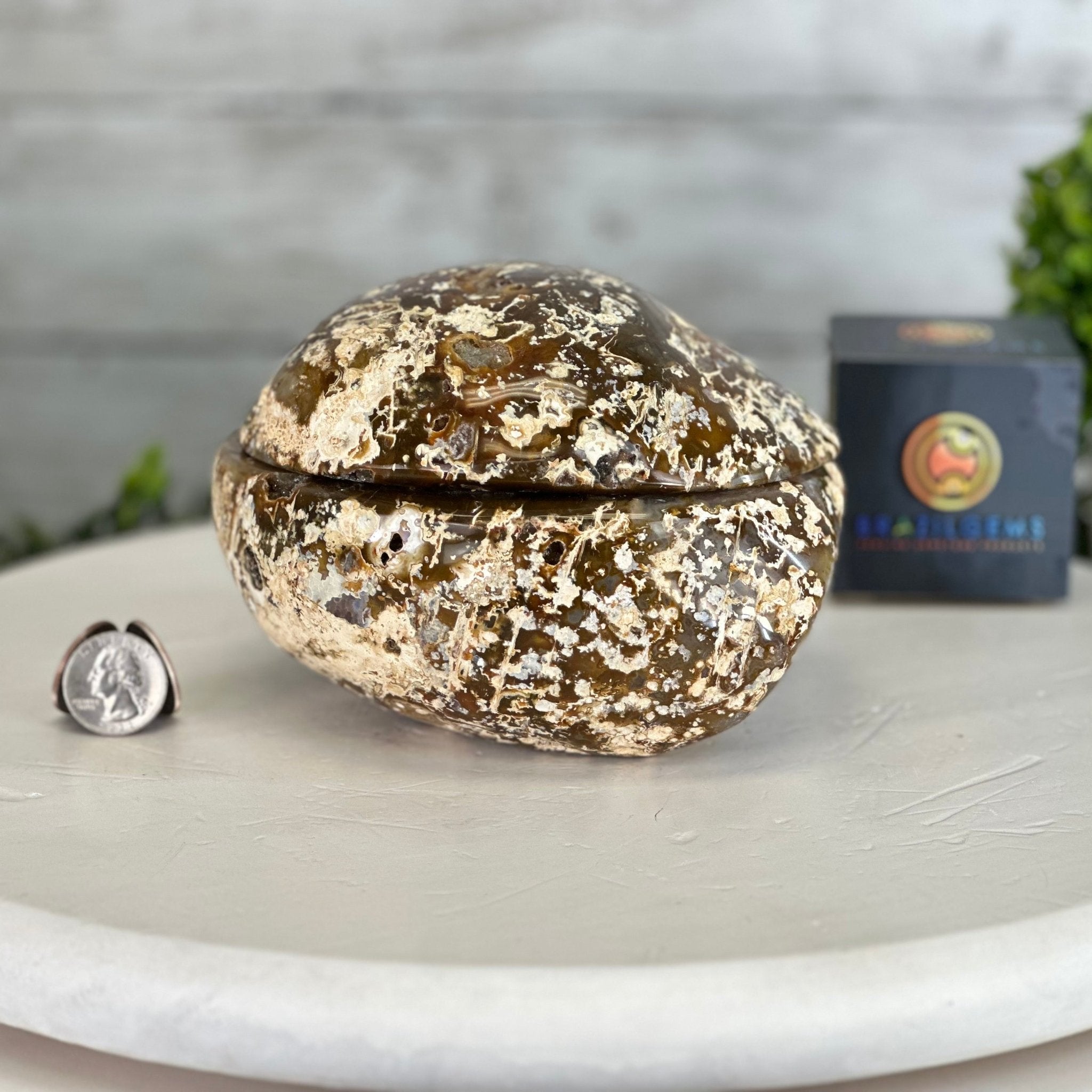 Quality Agate Geode "Jewelry Box", 4.9 lbs & 4.3" Tall #5251-0010 - Brazil GemsBrazil GemsQuality Agate Geode "Jewelry Box", 4.9 lbs & 4.3" Tall #5251-0010Agate Jewelry Boxes5251-0010