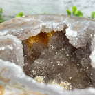 Quality Agate Geode "Jewelry Box", 4.9 lbs & 4.3" Tall #5251-0010 - Brazil GemsBrazil GemsQuality Agate Geode "Jewelry Box", 4.9 lbs & 4.3" Tall #5251-0010Agate Jewelry Boxes5251-0010