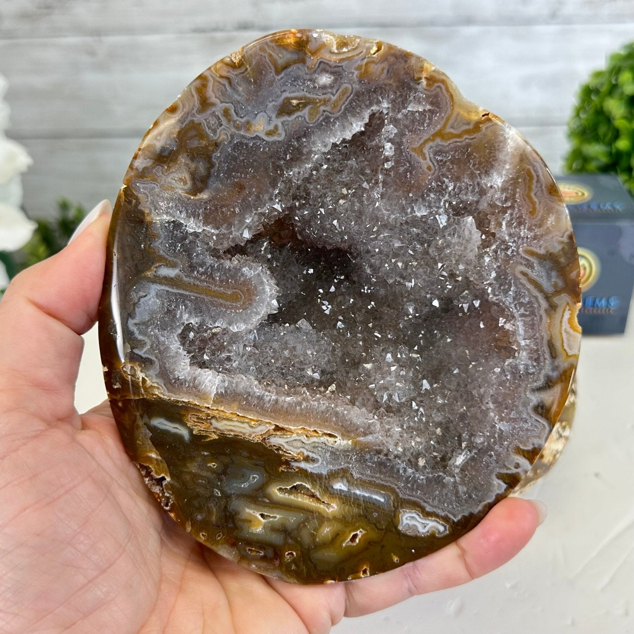 Quality Agate Geode "Jewelry Box", 4.9 lbs & 4.3" Tall #5251-0010 - Brazil GemsBrazil GemsQuality Agate Geode "Jewelry Box", 4.9 lbs & 4.3" Tall #5251-0010Agate Jewelry Boxes5251-0010