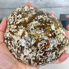 Quality Agate Geode "Jewelry Box", 4.9 lbs & 4.3" Tall #5251-0010 - Brazil GemsBrazil GemsQuality Agate Geode "Jewelry Box", 4.9 lbs & 4.3" Tall #5251-0010Agate Jewelry Boxes5251-0010