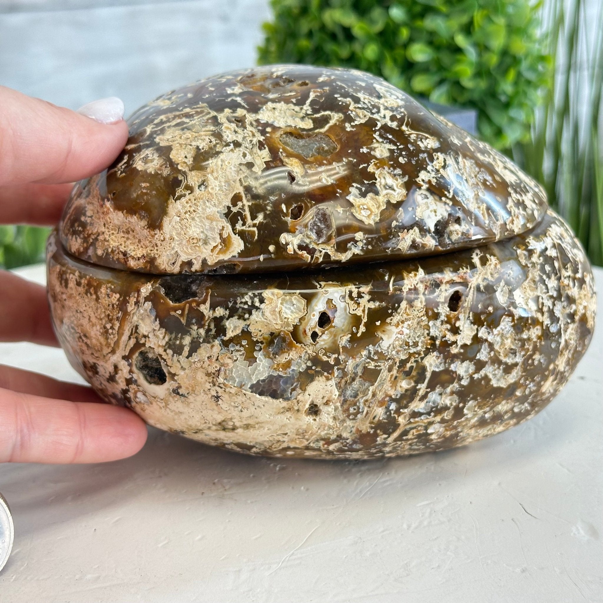 Quality Agate Geode "Jewelry Box", 4.9 lbs & 4.3" Tall #5251-0010 - Brazil GemsBrazil GemsQuality Agate Geode "Jewelry Box", 4.9 lbs & 4.3" Tall #5251-0010Agate Jewelry Boxes5251-0010
