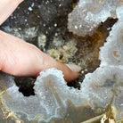 Quality Agate Geode "Jewelry Box", 4.9 lbs & 4.3" Tall #5251-0010 - Brazil GemsBrazil GemsQuality Agate Geode "Jewelry Box", 4.9 lbs & 4.3" Tall #5251-0010Agate Jewelry Boxes5251-0010