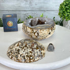 Quality Agate Geode "Jewelry Box", 4.9 lbs & 4.3" Tall #5251-0010 - Brazil GemsBrazil GemsQuality Agate Geode "Jewelry Box", 4.9 lbs & 4.3" Tall #5251-0010Agate Jewelry Boxes5251-0010