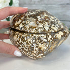 Quality Agate Geode "Jewelry Box", 4.9 lbs & 4.3" Tall #5251-0010 - Brazil GemsBrazil GemsQuality Agate Geode "Jewelry Box", 4.9 lbs & 4.3" Tall #5251-0010Agate Jewelry Boxes5251-0010