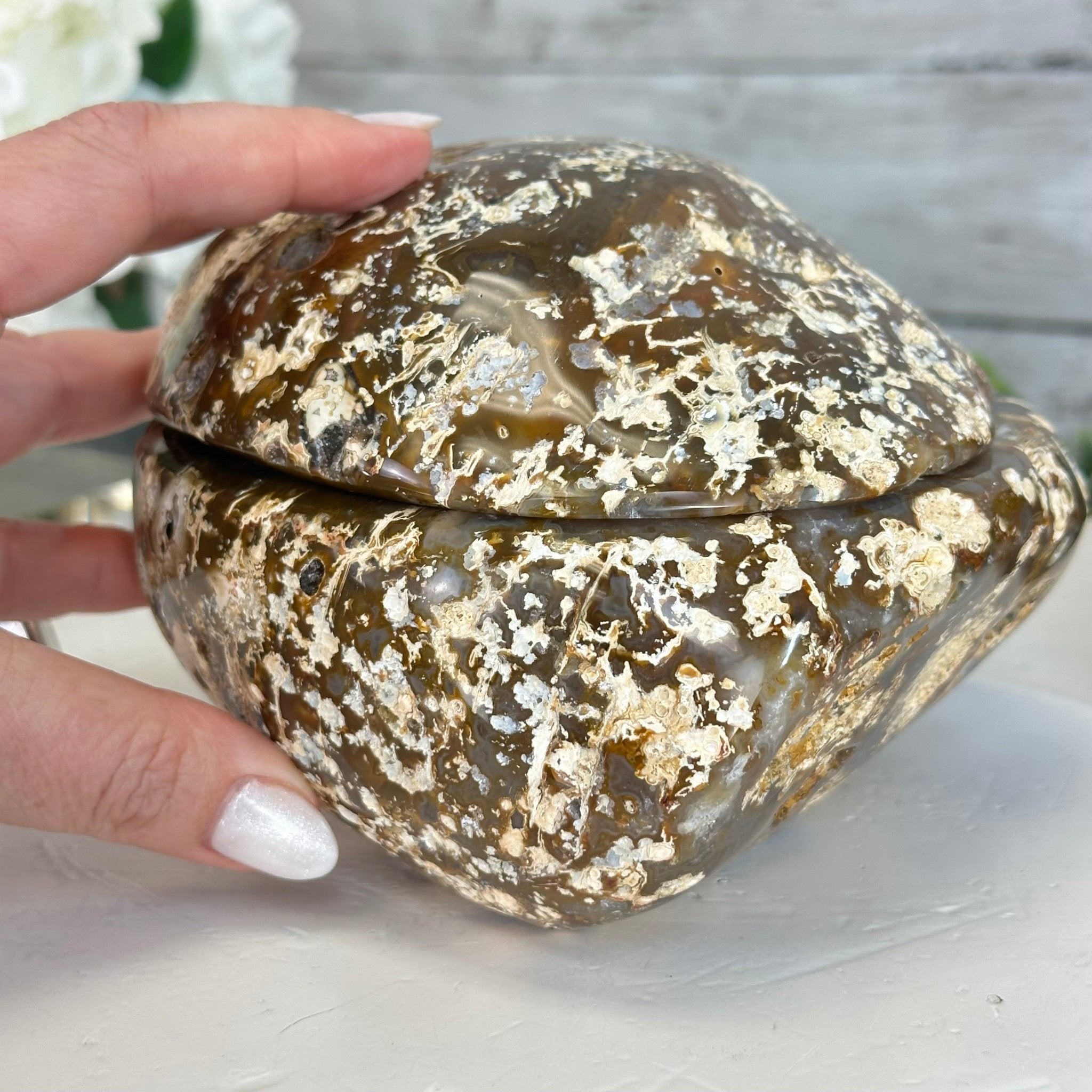 Quality Agate Geode "Jewelry Box", 4.9 lbs & 4.3" Tall #5251-0010 - Brazil GemsBrazil GemsQuality Agate Geode "Jewelry Box", 4.9 lbs & 4.3" Tall #5251-0010Agate Jewelry Boxes5251-0010