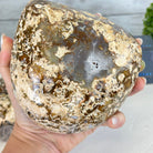 Quality Agate Geode "Jewelry Box", 4.9 lbs & 4.3" Tall #5251-0010 - Brazil GemsBrazil GemsQuality Agate Geode "Jewelry Box", 4.9 lbs & 4.3" Tall #5251-0010Agate Jewelry Boxes5251-0010