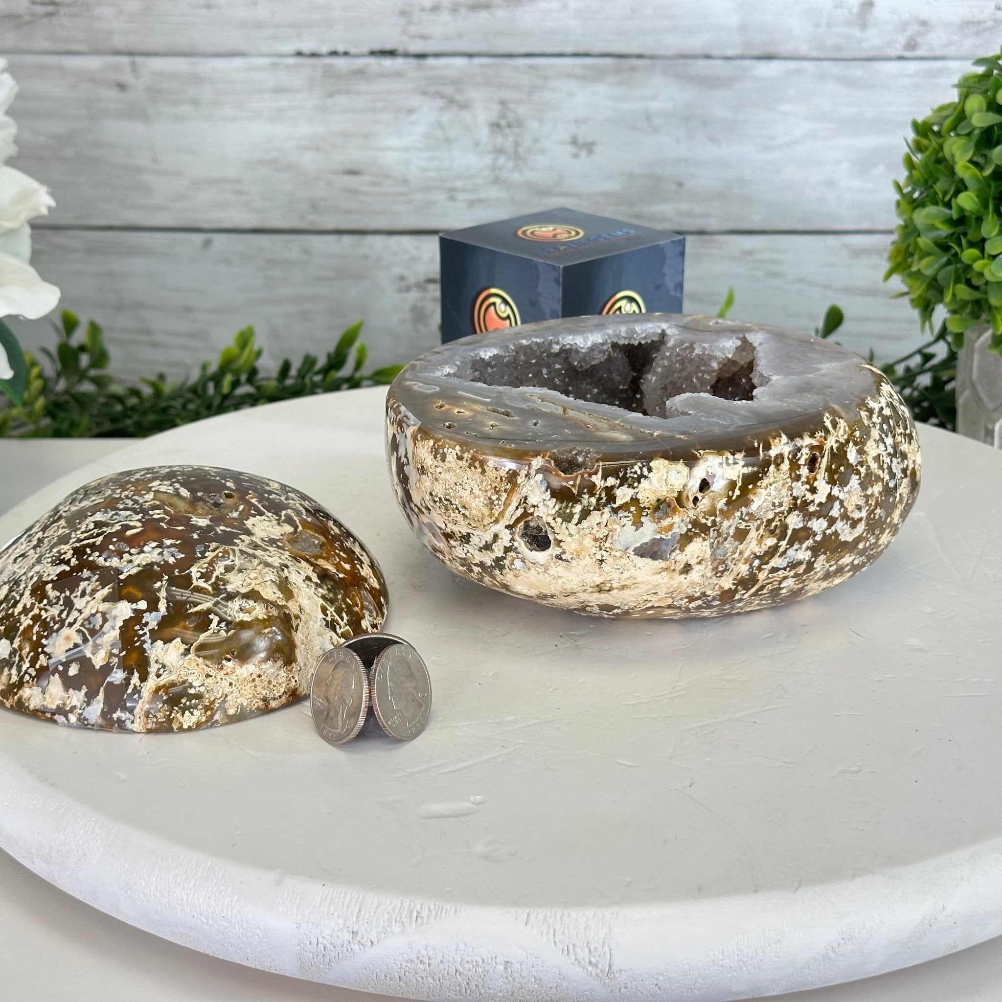 Quality Agate Geode "Jewelry Box", 4.9 lbs & 4.3" Tall #5251-0010 - Brazil GemsBrazil GemsQuality Agate Geode "Jewelry Box", 4.9 lbs & 4.3" Tall #5251-0010Agate Jewelry Boxes5251-0010