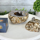 Quality Agate Geode "Jewelry Box", 4.9 lbs & 4.3" Tall #5251-0010 - Brazil GemsBrazil GemsQuality Agate Geode "Jewelry Box", 4.9 lbs & 4.3" Tall #5251-0010Agate Jewelry Boxes5251-0010