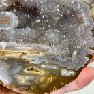Quality Agate Geode "Jewelry Box", 4.9 lbs & 4.3" Tall #5251-0010 - Brazil GemsBrazil GemsQuality Agate Geode "Jewelry Box", 4.9 lbs & 4.3" Tall #5251-0010Agate Jewelry Boxes5251-0010