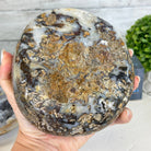Quality Agate Geode "Jewelry Box", 5.2 lbs & 3.6" Tall #5251-0011 - Brazil GemsBrazil GemsQuality Agate Geode "Jewelry Box", 5.2 lbs & 3.6" Tall #5251-0011Agate Jewelry Boxes5251-0011