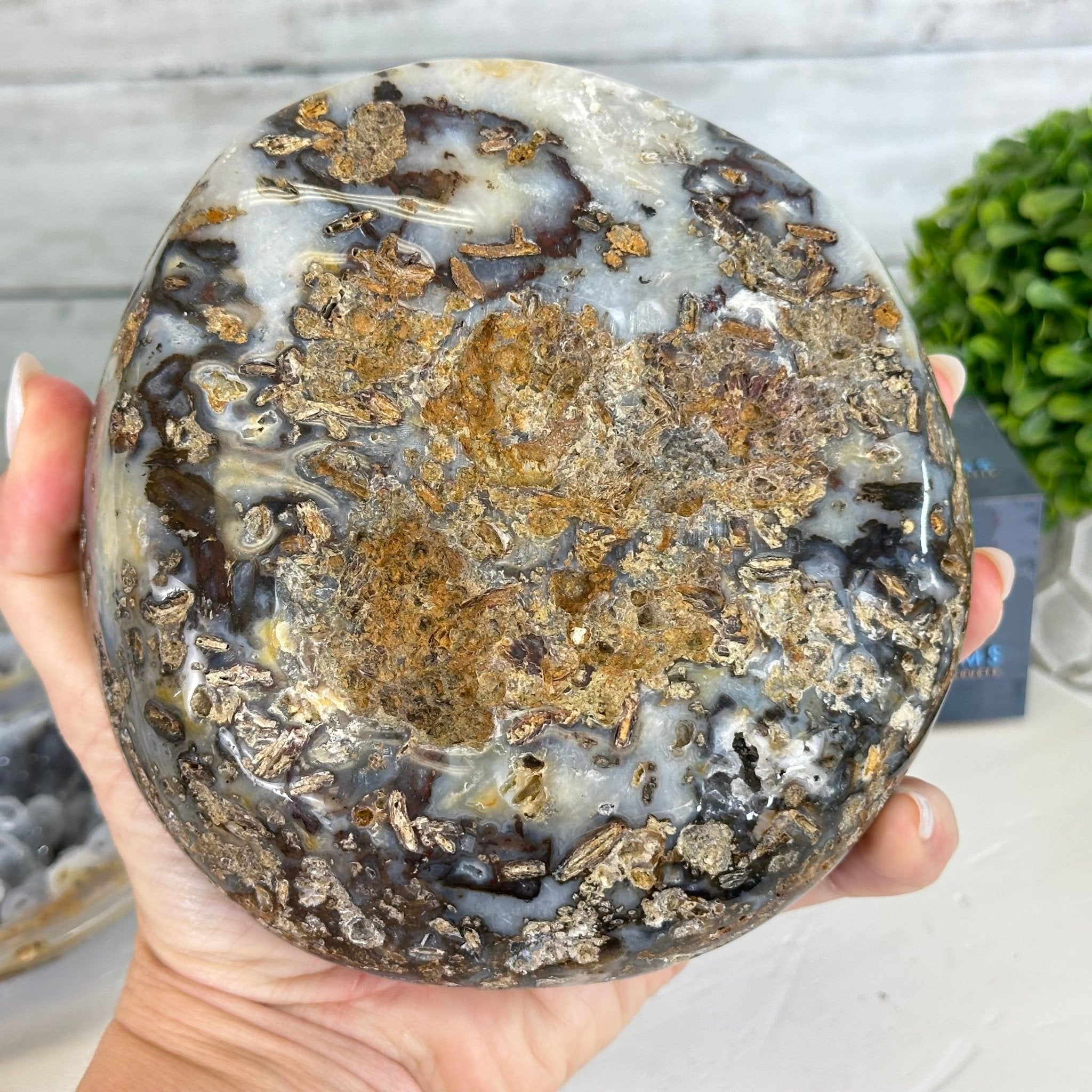 Quality Agate Geode "Jewelry Box", 5.2 lbs & 3.6" Tall #5251-0011 - Brazil GemsBrazil GemsQuality Agate Geode "Jewelry Box", 5.2 lbs & 3.6" Tall #5251-0011Agate Jewelry Boxes5251-0011