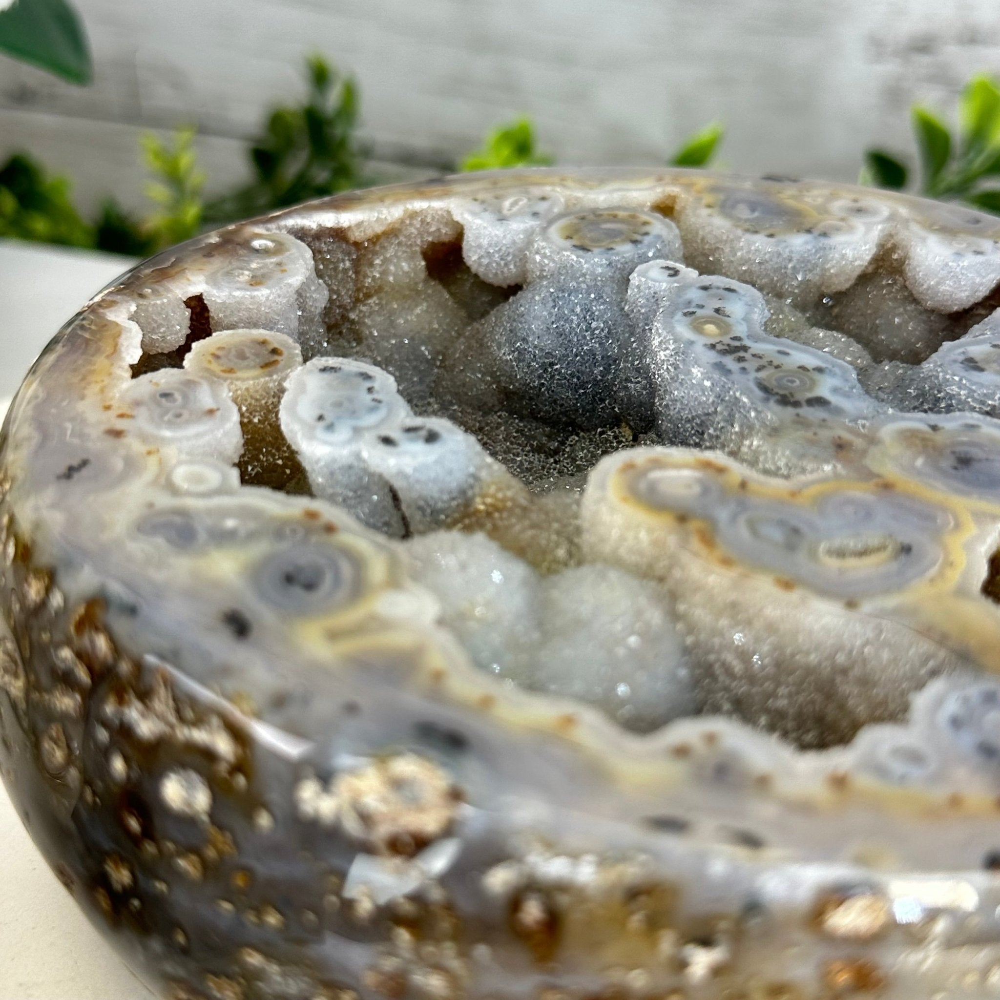 Quality Agate Geode "Jewelry Box", 5.2 lbs & 3.6" Tall #5251-0011 - Brazil GemsBrazil GemsQuality Agate Geode "Jewelry Box", 5.2 lbs & 3.6" Tall #5251-0011Agate Jewelry Boxes5251-0011