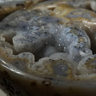 Quality Agate Geode "Jewelry Box", 5.2 lbs & 3.6" Tall #5251-0011 - Brazil GemsBrazil GemsQuality Agate Geode "Jewelry Box", 5.2 lbs & 3.6" Tall #5251-0011Agate Jewelry Boxes5251-0011