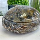 Quality Agate Geode "Jewelry Box", 5.2 lbs & 3.6" Tall #5251-0011 - Brazil GemsBrazil GemsQuality Agate Geode "Jewelry Box", 5.2 lbs & 3.6" Tall #5251-0011Agate Jewelry Boxes5251-0011