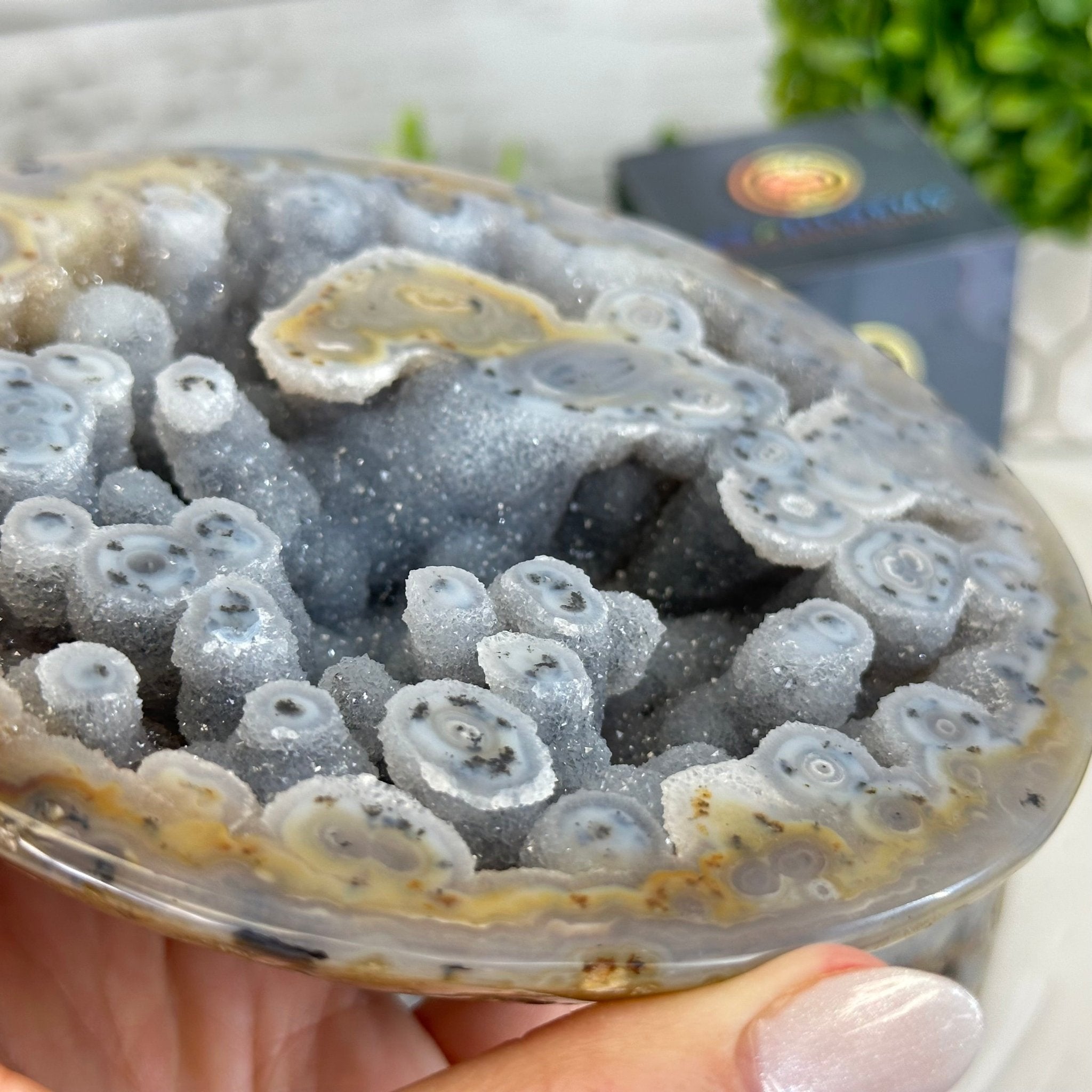 Quality Agate Geode "Jewelry Box", 5.2 lbs & 3.6" Tall #5251-0011 - Brazil GemsBrazil GemsQuality Agate Geode "Jewelry Box", 5.2 lbs & 3.6" Tall #5251-0011Agate Jewelry Boxes5251-0011