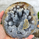 Quality Agate Geode "Jewelry Box", 5.2 lbs & 3.6" Tall #5251-0011 - Brazil GemsBrazil GemsQuality Agate Geode "Jewelry Box", 5.2 lbs & 3.6" Tall #5251-0011Agate Jewelry Boxes5251-0011
