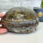 Quality Agate Geode "Jewelry Box", 5.2 lbs & 3.6" Tall #5251-0011 - Brazil GemsBrazil GemsQuality Agate Geode "Jewelry Box", 5.2 lbs & 3.6" Tall #5251-0011Agate Jewelry Boxes5251-0011