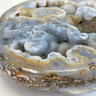 Quality Agate Geode "Jewelry Box", 5.2 lbs & 3.6" Tall #5251-0011 - Brazil GemsBrazil GemsQuality Agate Geode "Jewelry Box", 5.2 lbs & 3.6" Tall #5251-0011Agate Jewelry Boxes5251-0011