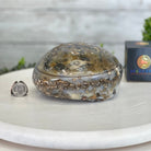 Quality Agate Geode "Jewelry Box", 5.2 lbs & 3.6" Tall #5251-0011 - Brazil GemsBrazil GemsQuality Agate Geode "Jewelry Box", 5.2 lbs & 3.6" Tall #5251-0011Agate Jewelry Boxes5251-0011