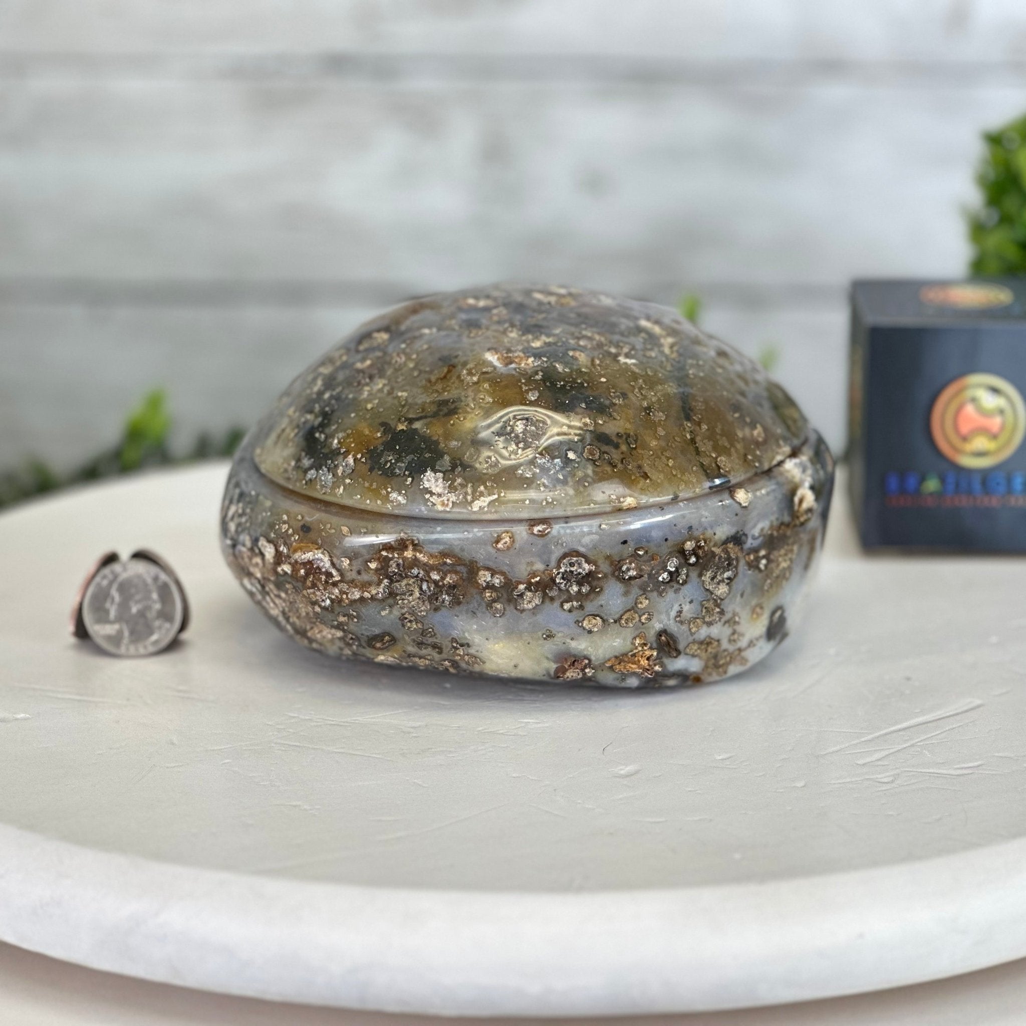 Quality Agate Geode "Jewelry Box", 5.2 lbs & 3.6" Tall #5251-0011 - Brazil GemsBrazil GemsQuality Agate Geode "Jewelry Box", 5.2 lbs & 3.6" Tall #5251-0011Agate Jewelry Boxes5251-0011