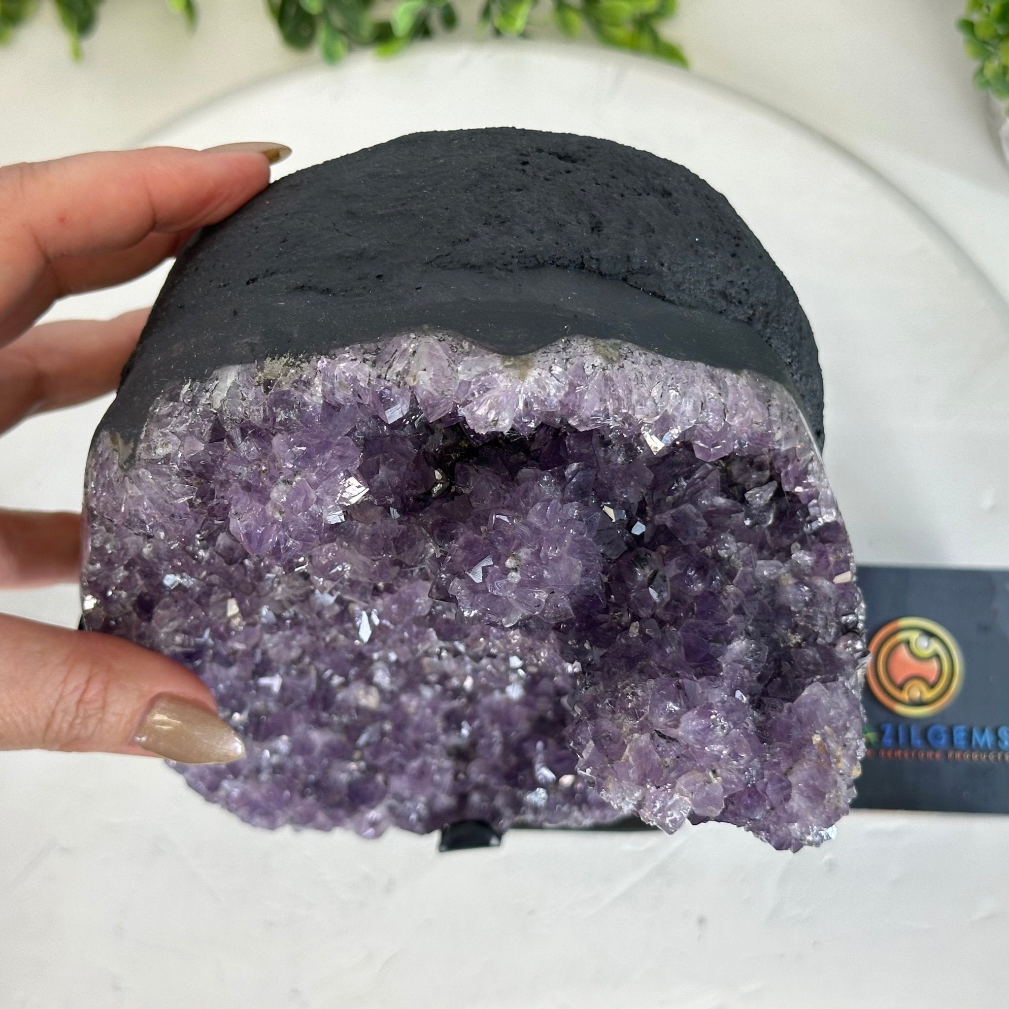 Quality Amethyst Cluster on a Metal Base, 10.1 lbs & 11" Tall #5491 - 0045 - Brazil GemsBrazil GemsQuality Amethyst Cluster on a Metal Base, 10.1 lbs & 11" Tall #5491 - 0045Clusters on Fixed Bases5491 - 0045