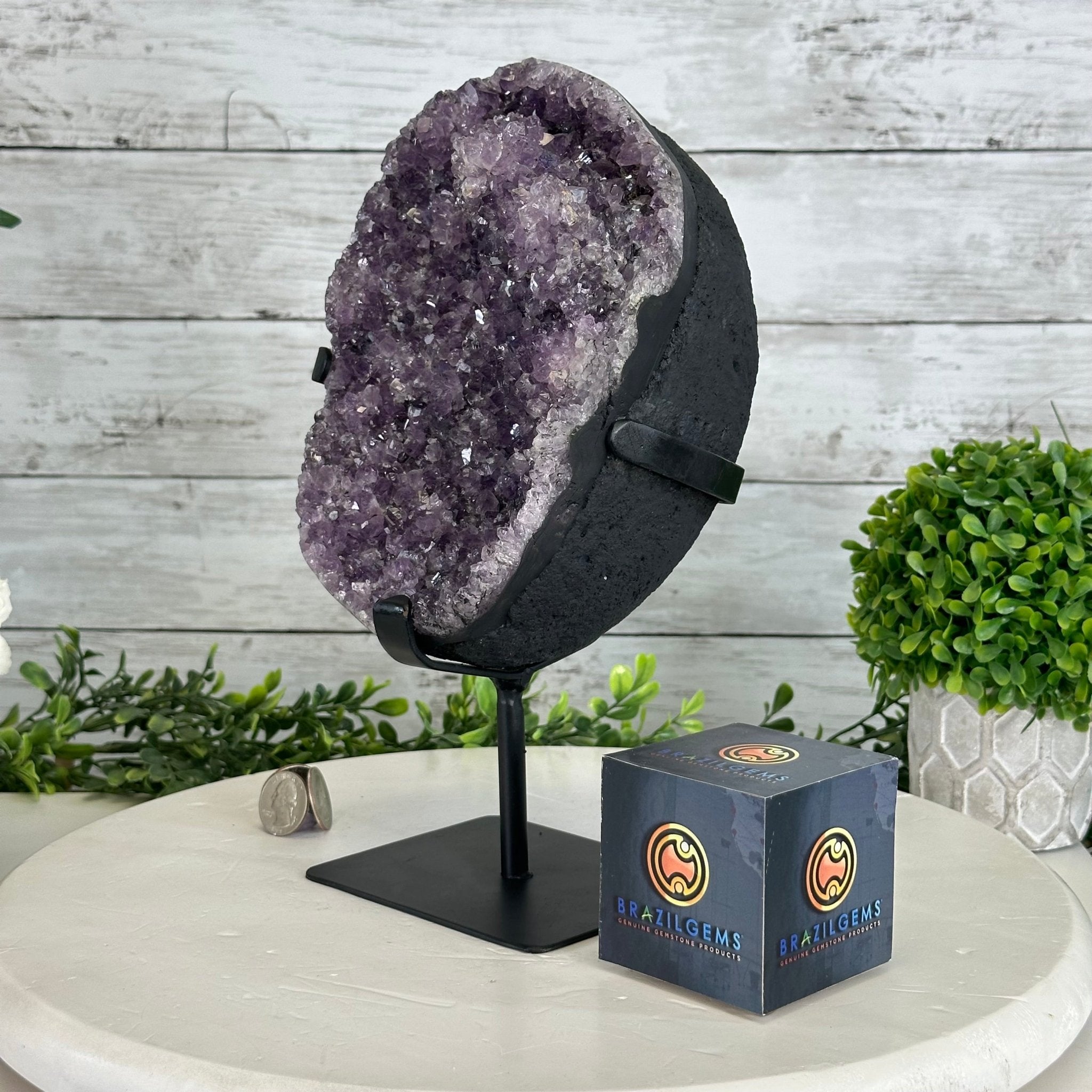 Quality Amethyst Cluster on a Metal Base, 10.1 lbs & 11" Tall #5491 - 0045 - Brazil GemsBrazil GemsQuality Amethyst Cluster on a Metal Base, 10.1 lbs & 11" Tall #5491 - 0045Clusters on Fixed Bases5491 - 0045
