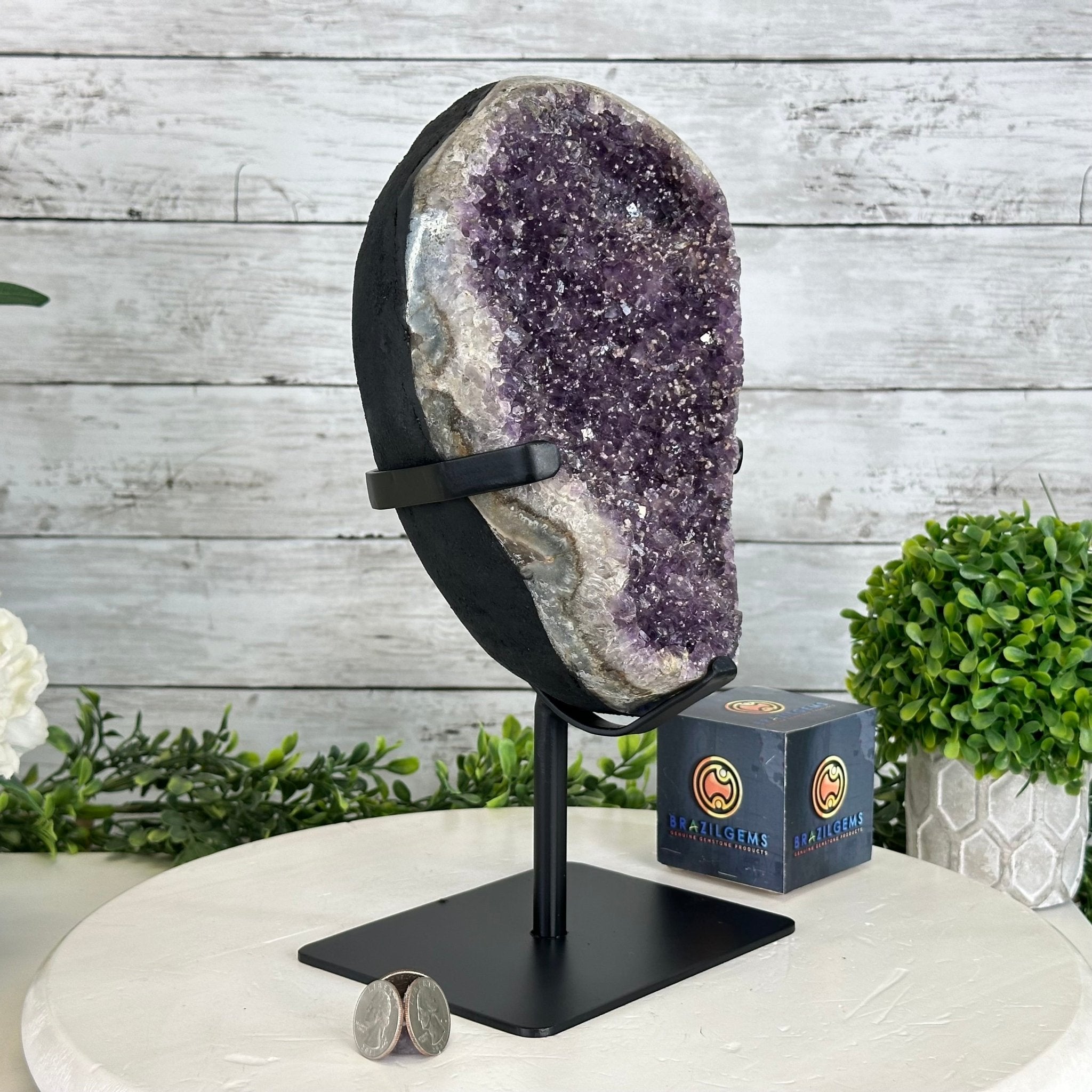 Quality Amethyst Cluster on a Metal Base, 10.9 lbs & 12.25" Tall #5491 - 0047 - Brazil GemsBrazil GemsQuality Amethyst Cluster on a Metal Base, 10.9 lbs & 12.25" Tall #5491 - 0047Clusters on Fixed Bases5491 - 0047