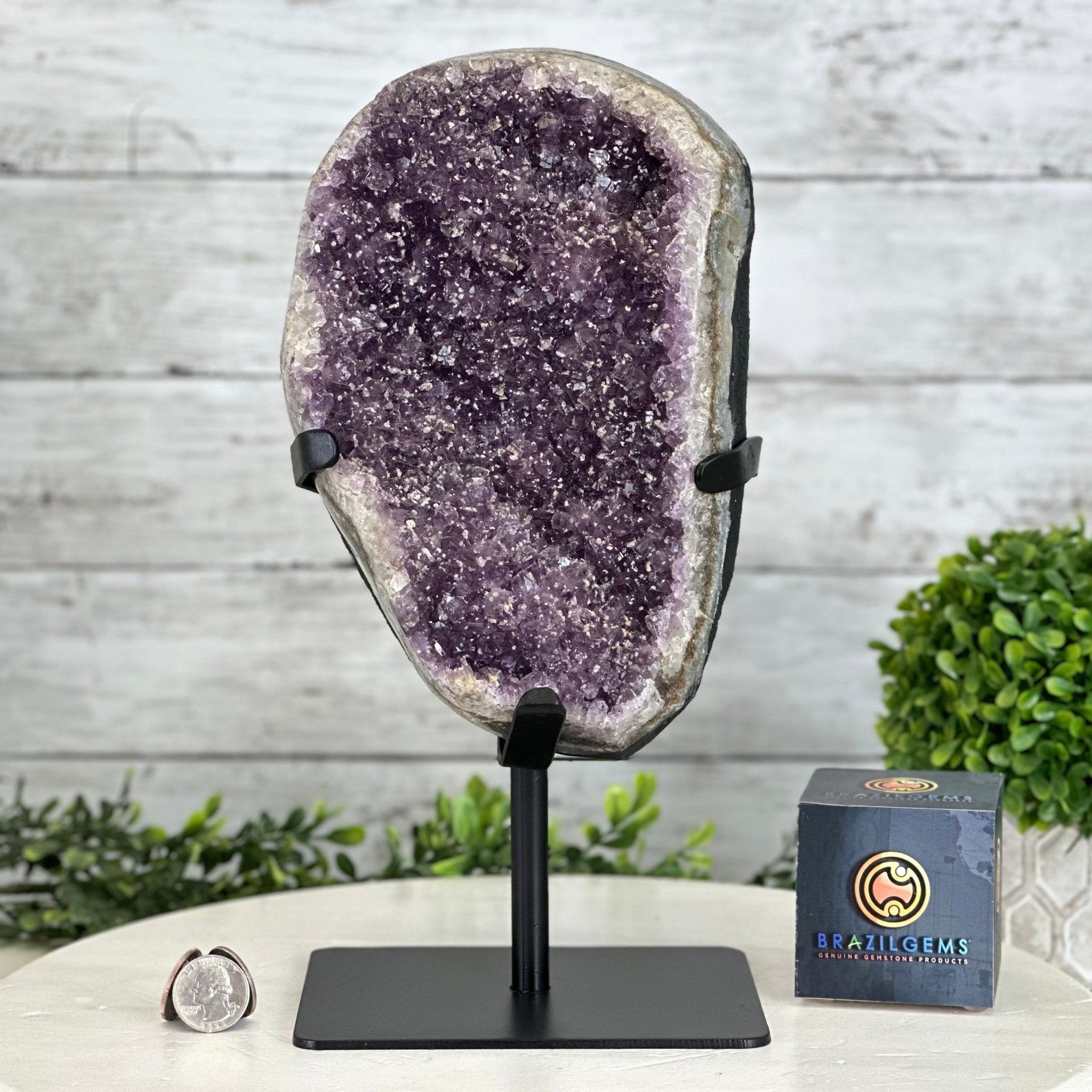 Quality Amethyst Cluster on a Metal Base, 10.9 lbs & 12.25" Tall #5491 - 0047 - Brazil GemsBrazil GemsQuality Amethyst Cluster on a Metal Base, 10.9 lbs & 12.25" Tall #5491 - 0047Clusters on Fixed Bases5491 - 0047