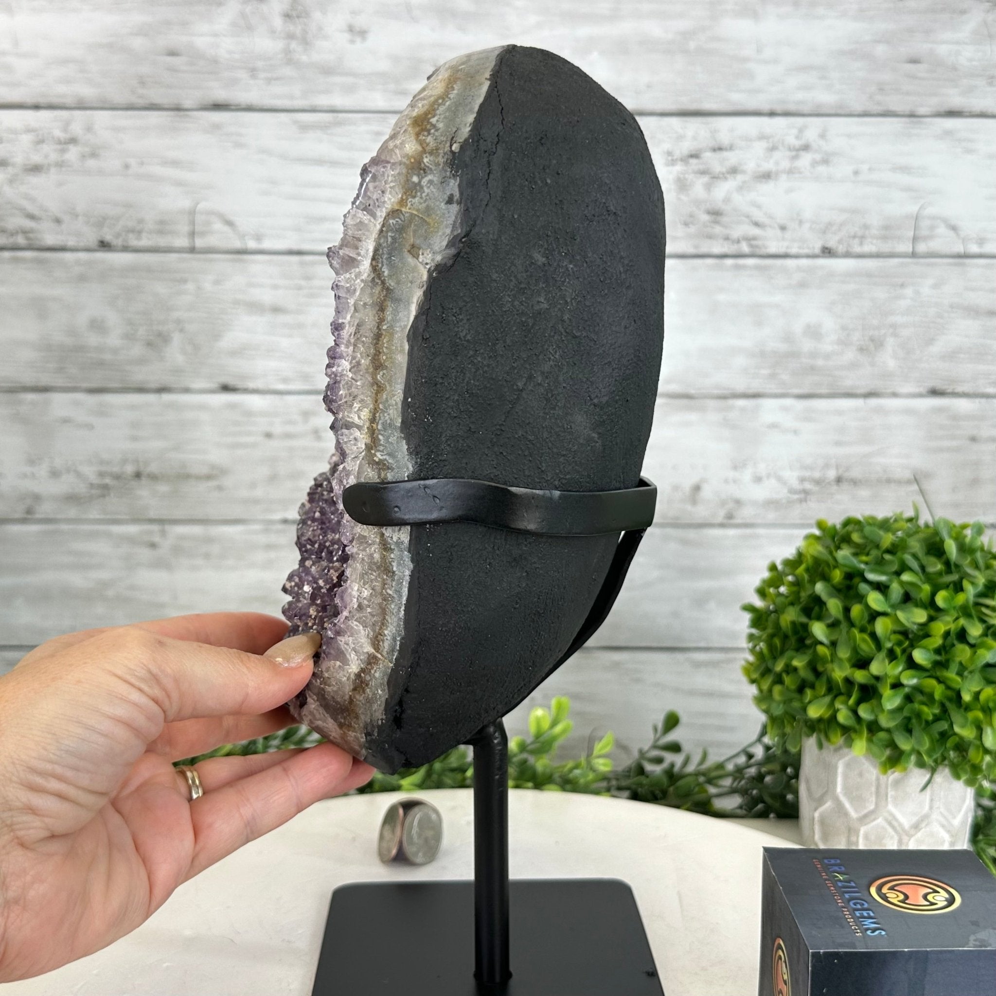 Quality Amethyst Cluster on a Metal Base, 10.9 lbs & 12.25" Tall #5491 - 0047 - Brazil GemsBrazil GemsQuality Amethyst Cluster on a Metal Base, 10.9 lbs & 12.25" Tall #5491 - 0047Clusters on Fixed Bases5491 - 0047