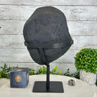 Quality Amethyst Cluster on a Metal Base, 12.7 lbs & 12.75" Tall #5491 - 0044 - Brazil GemsBrazil GemsQuality Amethyst Cluster on a Metal Base, 12.7 lbs & 12.75" Tall #5491 - 0044Clusters on Fixed Bases5491 - 0044
