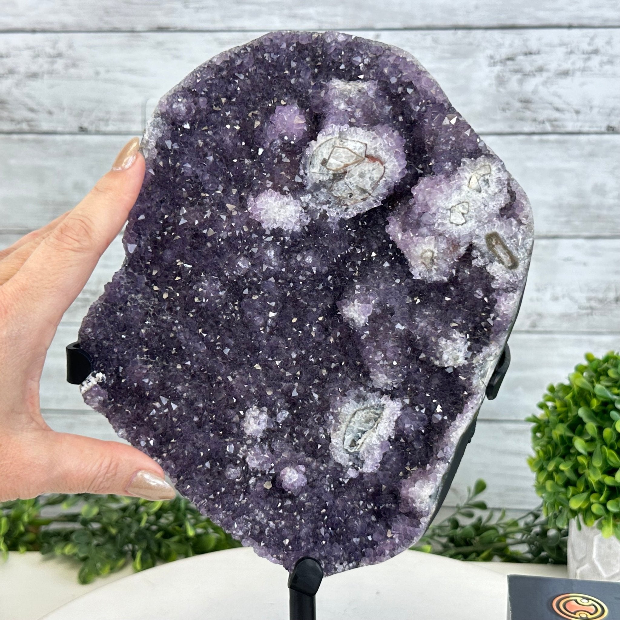 Quality Amethyst Cluster on a Metal Base, 12.7 lbs & 12.75" Tall #5491 - 0044 - Brazil GemsBrazil GemsQuality Amethyst Cluster on a Metal Base, 12.7 lbs & 12.75" Tall #5491 - 0044Clusters on Fixed Bases5491 - 0044