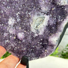 Quality Amethyst Cluster on a Metal Base, 12.7 lbs & 12.75" Tall #5491 - 0044 - Brazil GemsBrazil GemsQuality Amethyst Cluster on a Metal Base, 12.7 lbs & 12.75" Tall #5491 - 0044Clusters on Fixed Bases5491 - 0044