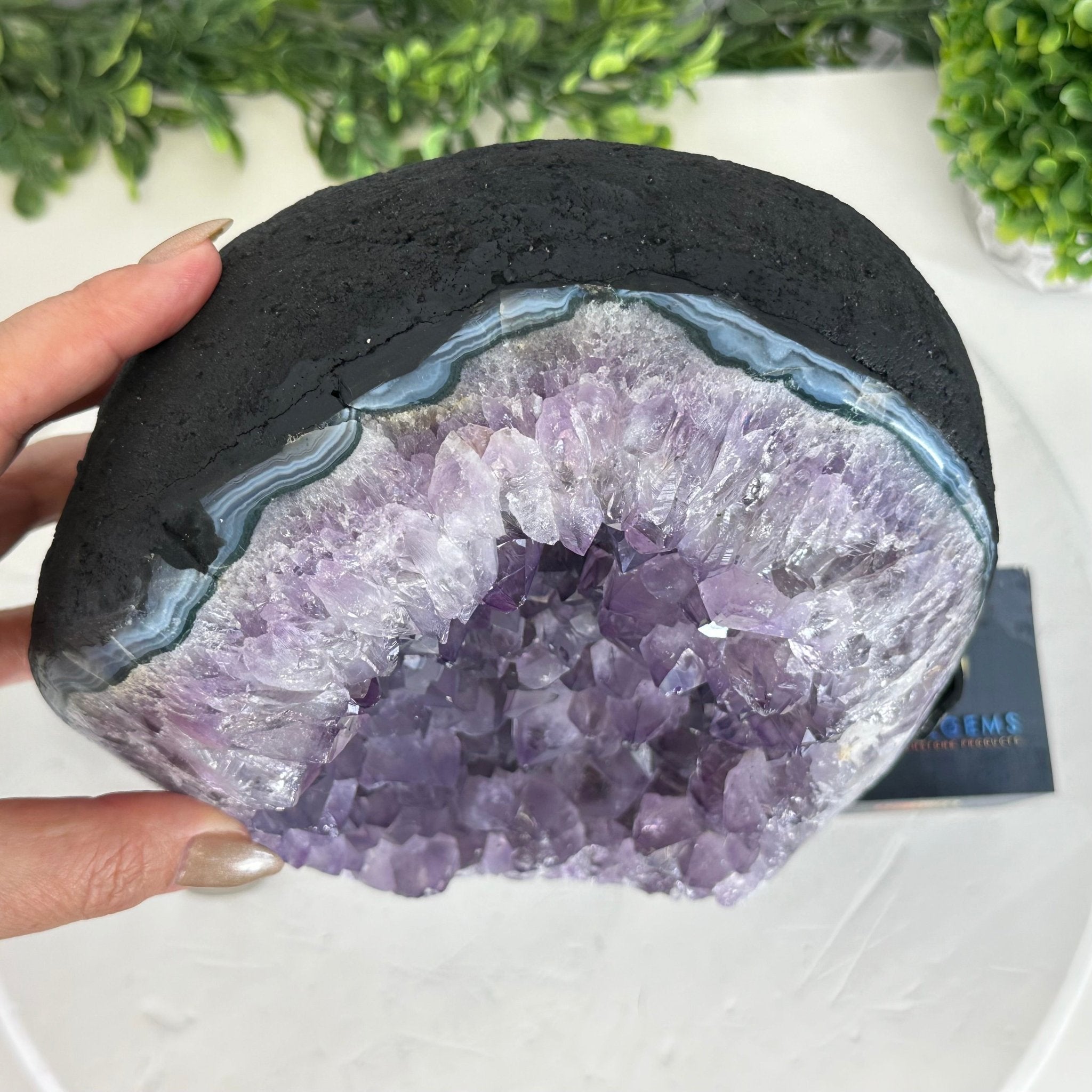 Quality Amethyst Cluster on a Metal Base, 13.3 lbs & 11" Tall #5491 - 0048 - Brazil GemsBrazil GemsQuality Amethyst Cluster on a Metal Base, 13.3 lbs & 11" Tall #5491 - 0048Clusters on Fixed Bases5491 - 0048