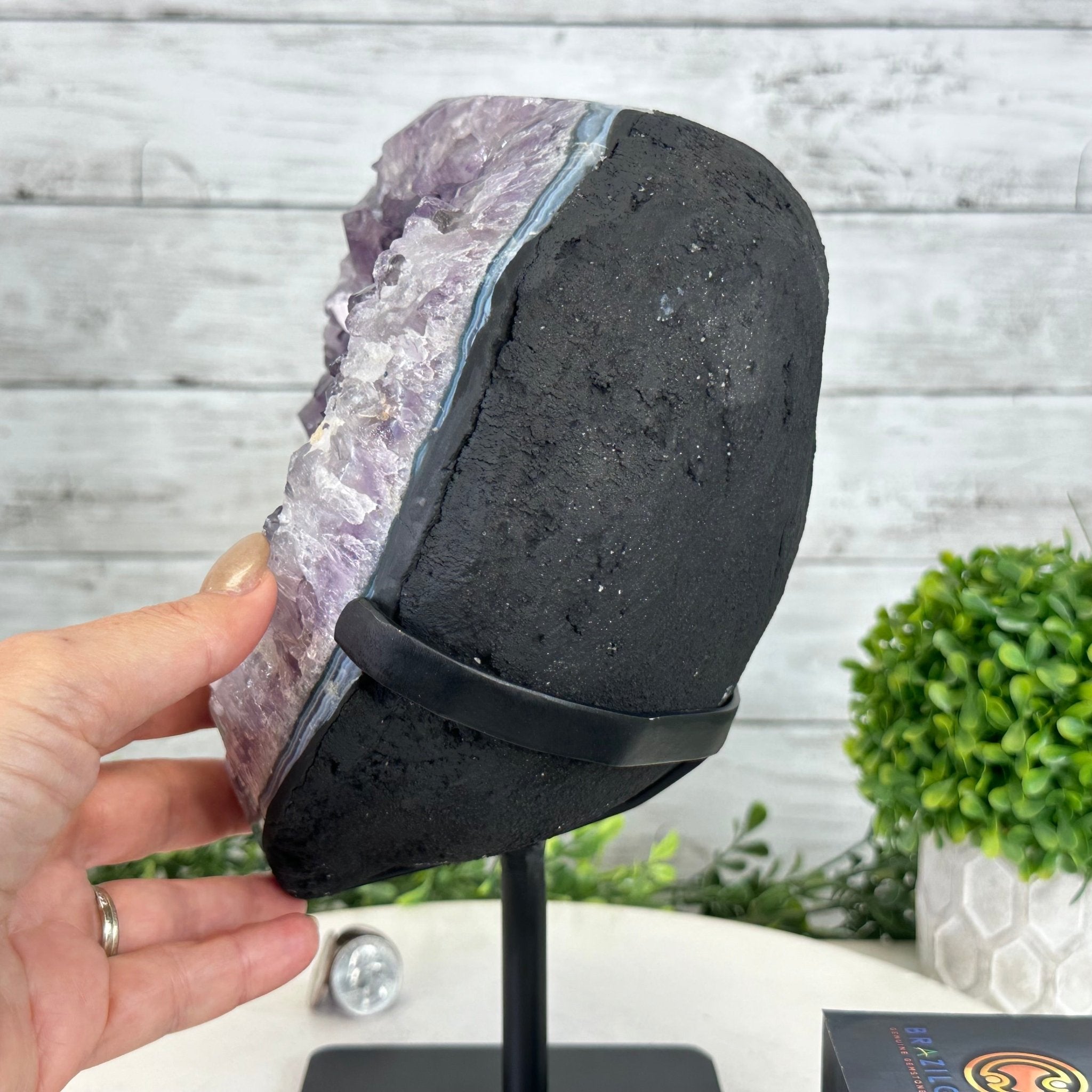 Quality Amethyst Cluster on a Metal Base, 13.3 lbs & 11" Tall #5491 - 0048 - Brazil GemsBrazil GemsQuality Amethyst Cluster on a Metal Base, 13.3 lbs & 11" Tall #5491 - 0048Clusters on Fixed Bases5491 - 0048