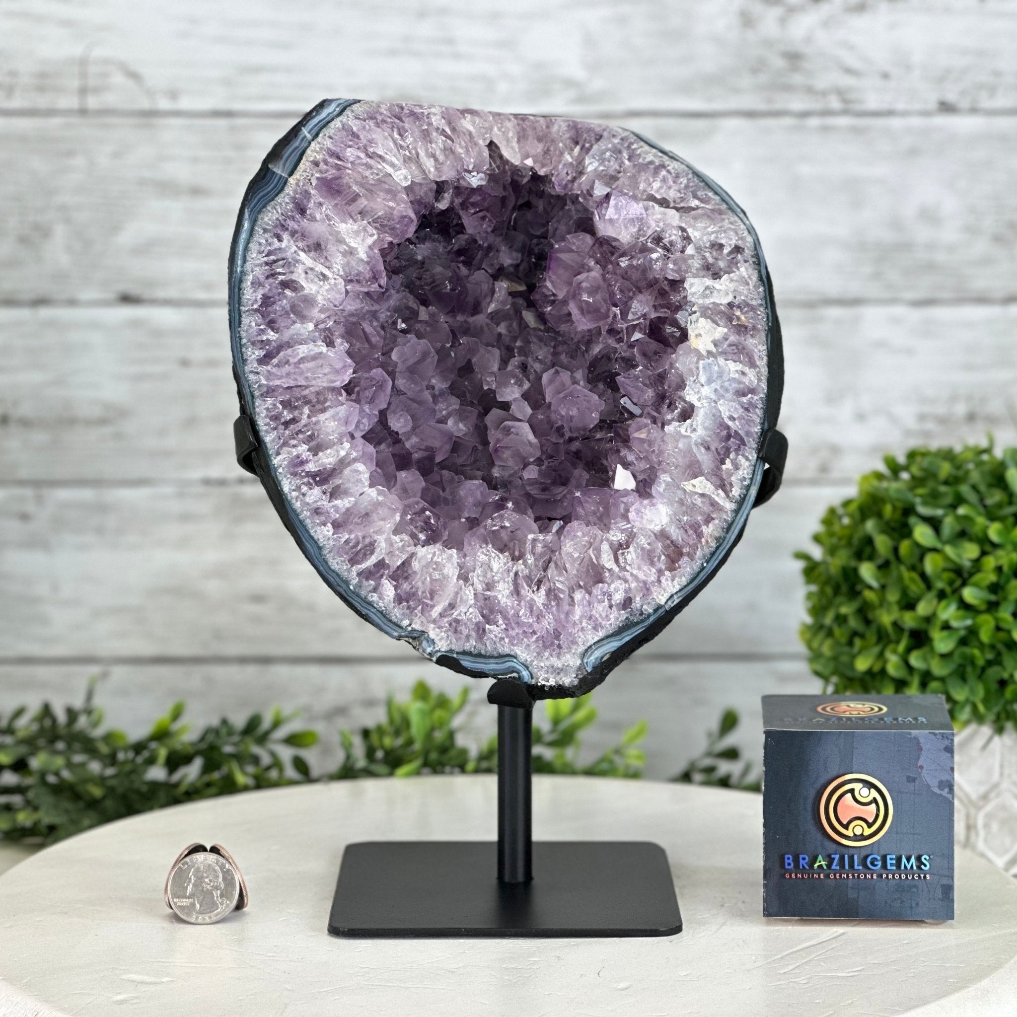 Quality Amethyst Cluster on a Metal Base, 13.3 lbs & 11" Tall #5491 - 0048 - Brazil GemsBrazil GemsQuality Amethyst Cluster on a Metal Base, 13.3 lbs & 11" Tall #5491 - 0048Clusters on Fixed Bases5491 - 0048