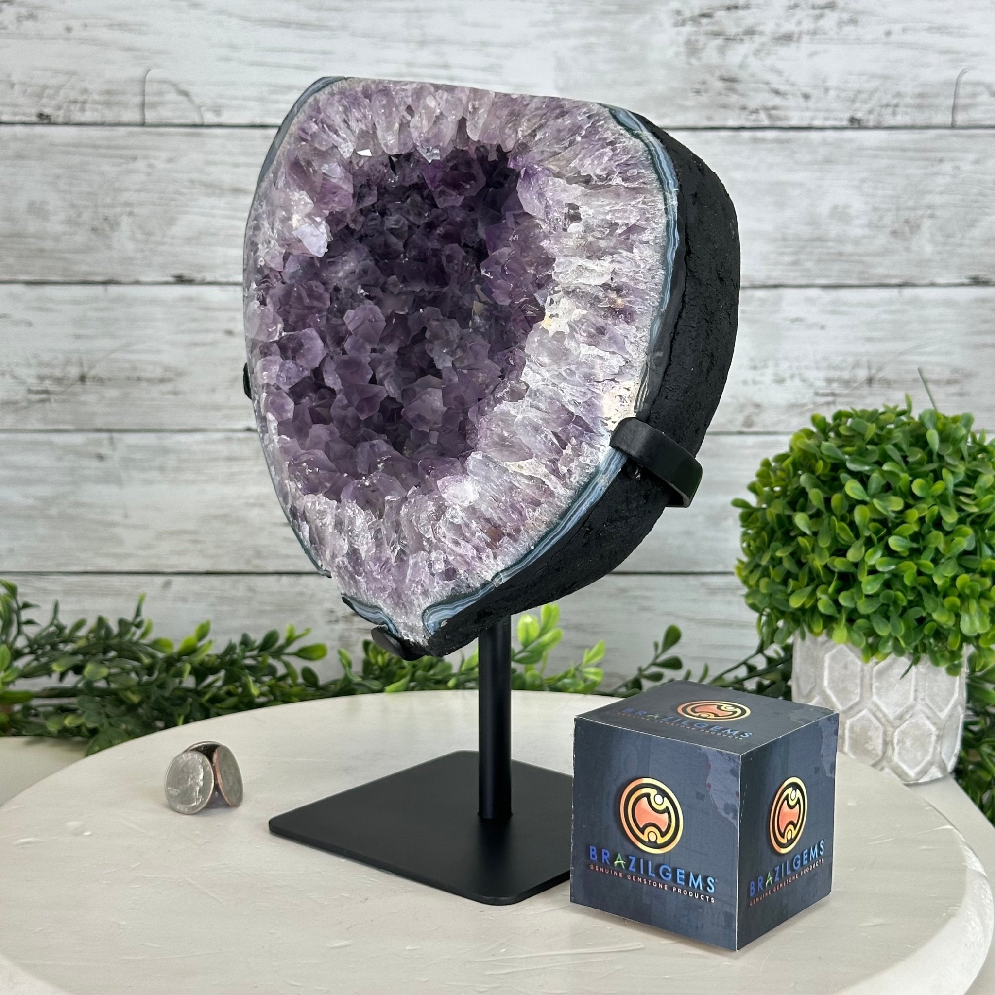 Quality Amethyst Cluster on a Metal Base, 13.3 lbs & 11" Tall #5491 - 0048 - Brazil GemsBrazil GemsQuality Amethyst Cluster on a Metal Base, 13.3 lbs & 11" Tall #5491 - 0048Clusters on Fixed Bases5491 - 0048