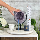 Quality Amethyst Cluster on a Metal Base, 13.3 lbs & 11" Tall #5491 - 0048 - Brazil GemsBrazil GemsQuality Amethyst Cluster on a Metal Base, 13.3 lbs & 11" Tall #5491 - 0048Clusters on Fixed Bases5491 - 0048