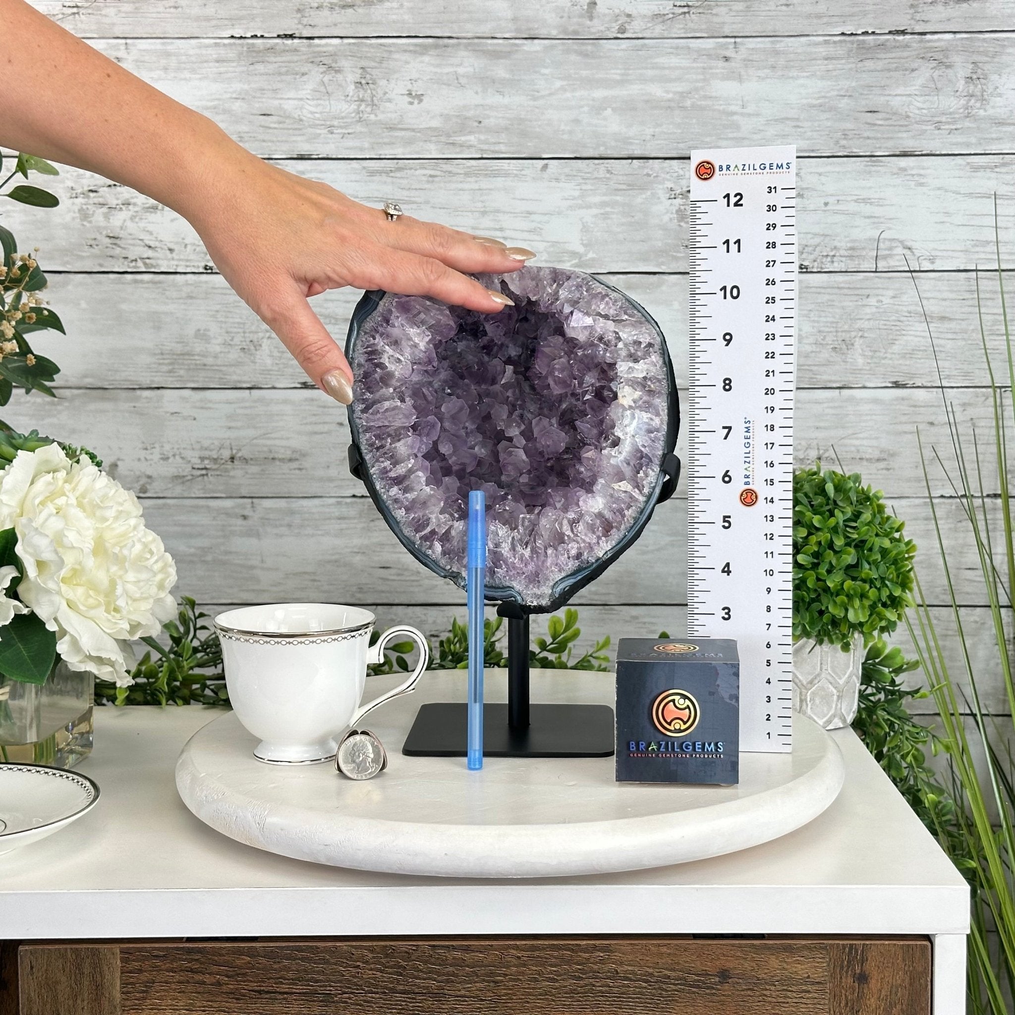 Quality Amethyst Cluster on a Metal Base, 13.3 lbs & 11" Tall #5491 - 0048 - Brazil GemsBrazil GemsQuality Amethyst Cluster on a Metal Base, 13.3 lbs & 11" Tall #5491 - 0048Clusters on Fixed Bases5491 - 0048