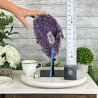 Quality Amethyst Cluster on a Metal Base, 13.9 lbs & 13.6" Tall #5491 - 0052 - Brazil GemsBrazil GemsQuality Amethyst Cluster on a Metal Base, 13.9 lbs & 13.6" Tall #5491 - 0052Clusters on Fixed Bases5491 - 0052