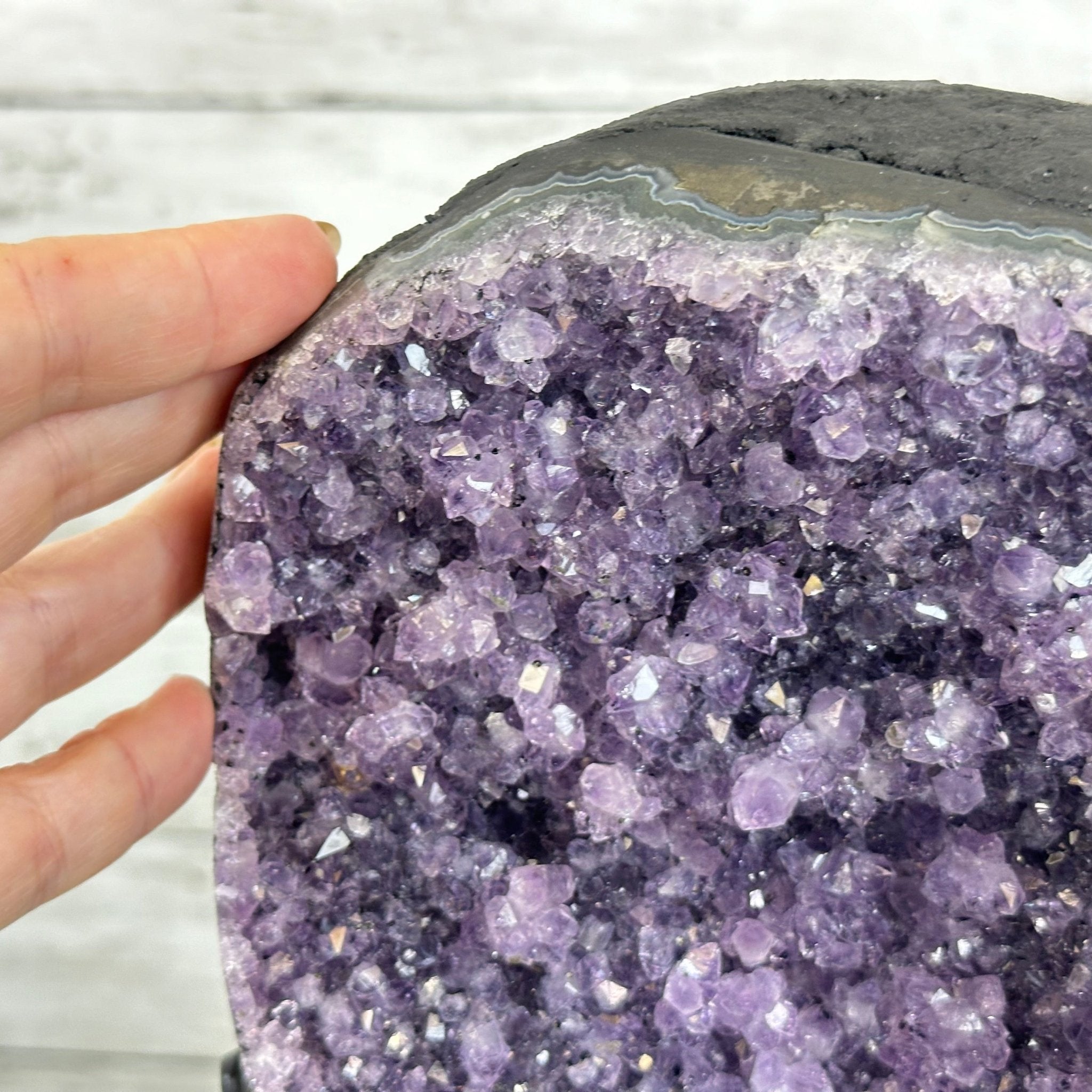 Quality Amethyst Cluster on a Metal Base, 16.9 lbs & 12.5" Tall #5491 - 0058 - Brazil GemsBrazil GemsQuality Amethyst Cluster on a Metal Base, 16.9 lbs & 12.5" Tall #5491 - 0058Clusters on Fixed Bases5491 - 0058