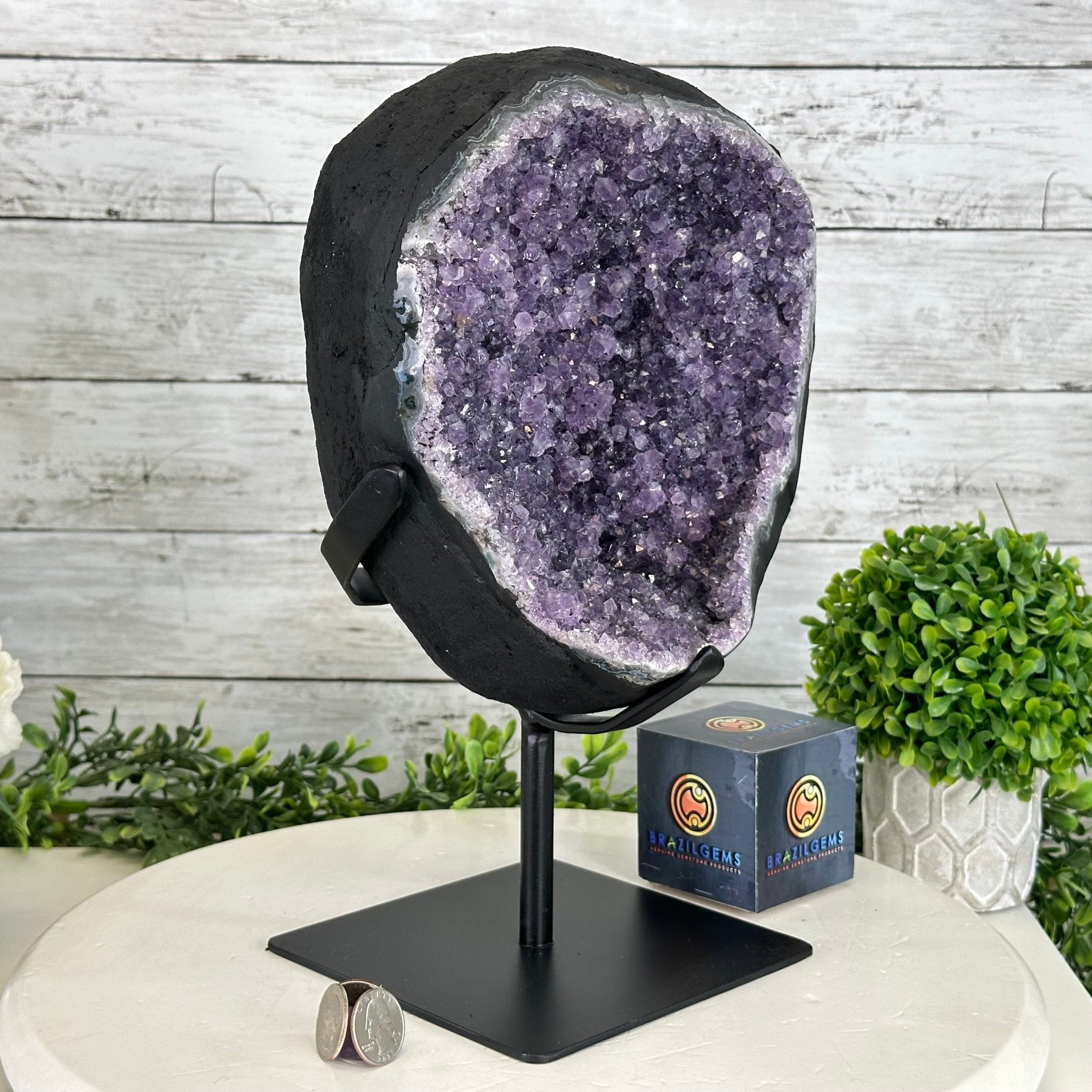 Quality Amethyst Cluster on a Metal Base, 16.9 lbs & 12.5" Tall #5491 - 0058 - Brazil GemsBrazil GemsQuality Amethyst Cluster on a Metal Base, 16.9 lbs & 12.5" Tall #5491 - 0058Clusters on Fixed Bases5491 - 0058