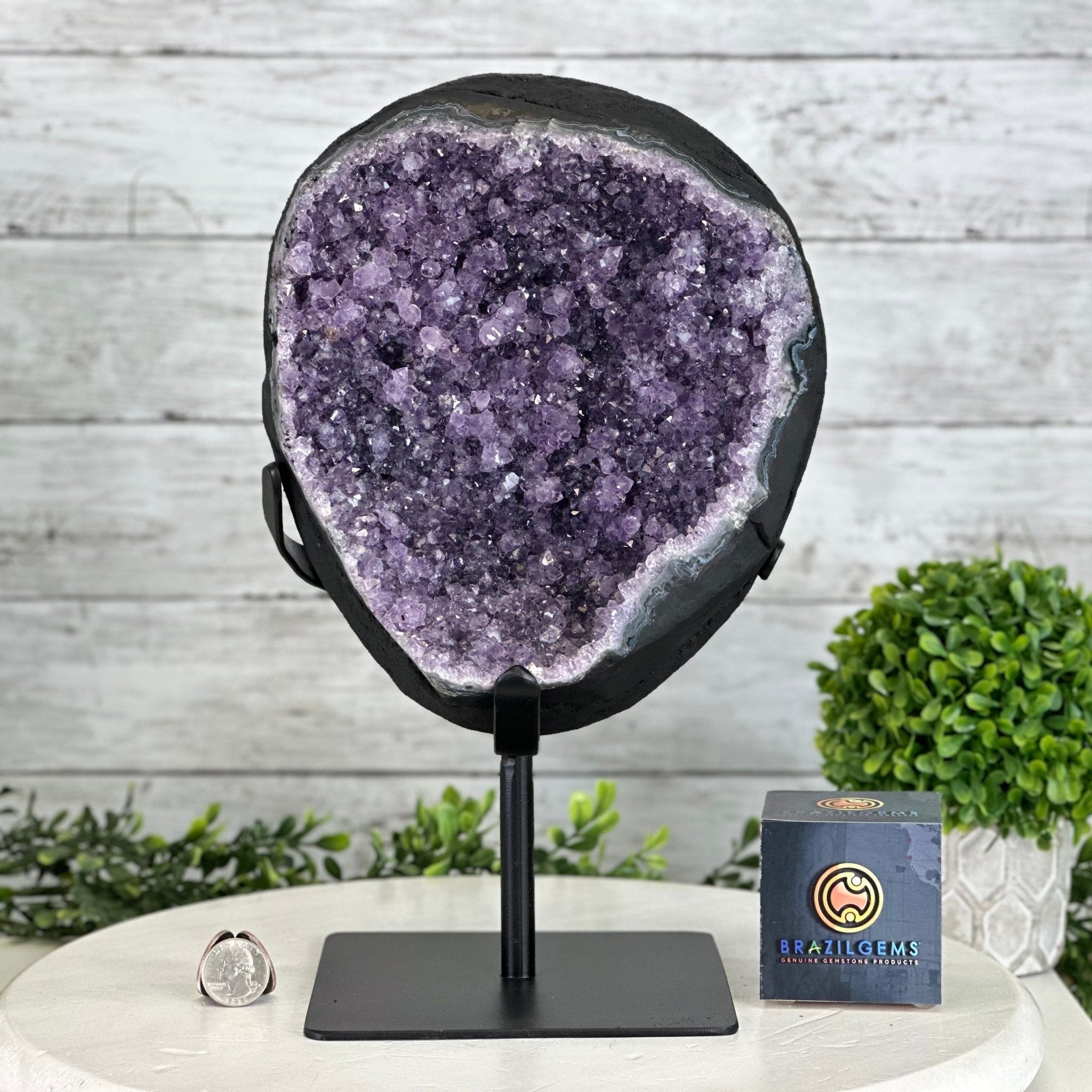 Quality Amethyst Cluster on a Metal Base, 16.9 lbs & 12.5" Tall #5491 - 0058 - Brazil GemsBrazil GemsQuality Amethyst Cluster on a Metal Base, 16.9 lbs & 12.5" Tall #5491 - 0058Clusters on Fixed Bases5491 - 0058