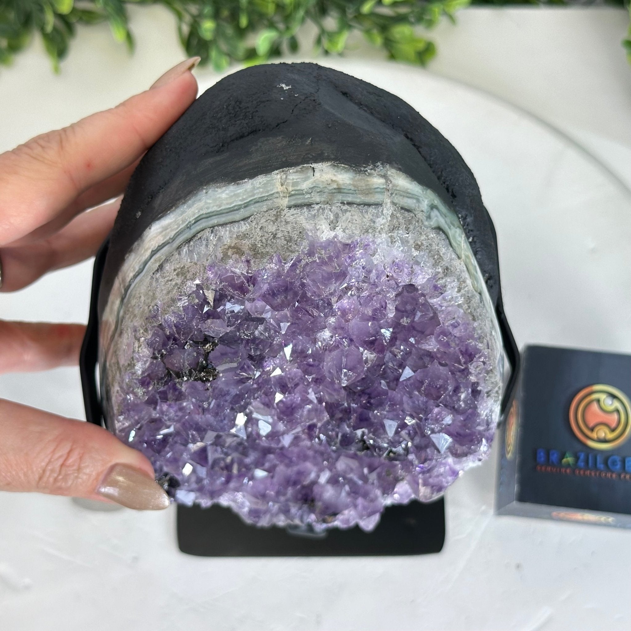Quality Amethyst Cluster on a Metal Base, 8.5 lbs & 10.5" Tall #5491 - 0050 - Brazil GemsBrazil GemsQuality Amethyst Cluster on a Metal Base, 8.5 lbs & 10.5" Tall #5491 - 0050Clusters on Fixed Bases5491 - 0050