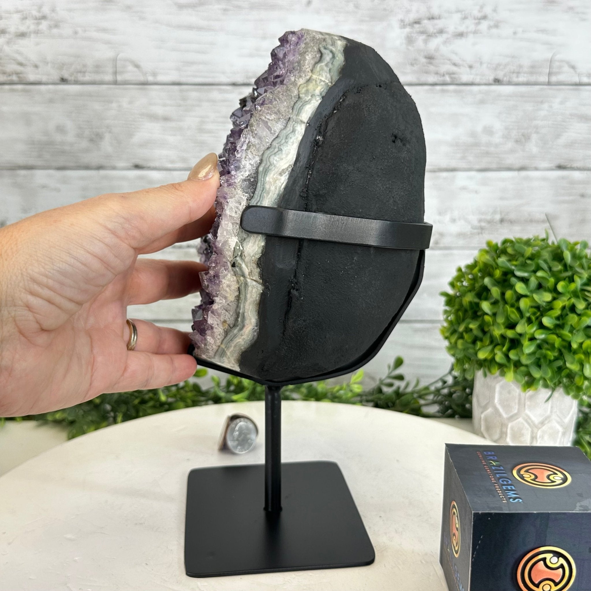 Quality Amethyst Cluster on a Metal Base, 8.5 lbs & 10.5" Tall #5491 - 0050 - Brazil GemsBrazil GemsQuality Amethyst Cluster on a Metal Base, 8.5 lbs & 10.5" Tall #5491 - 0050Clusters on Fixed Bases5491 - 0050