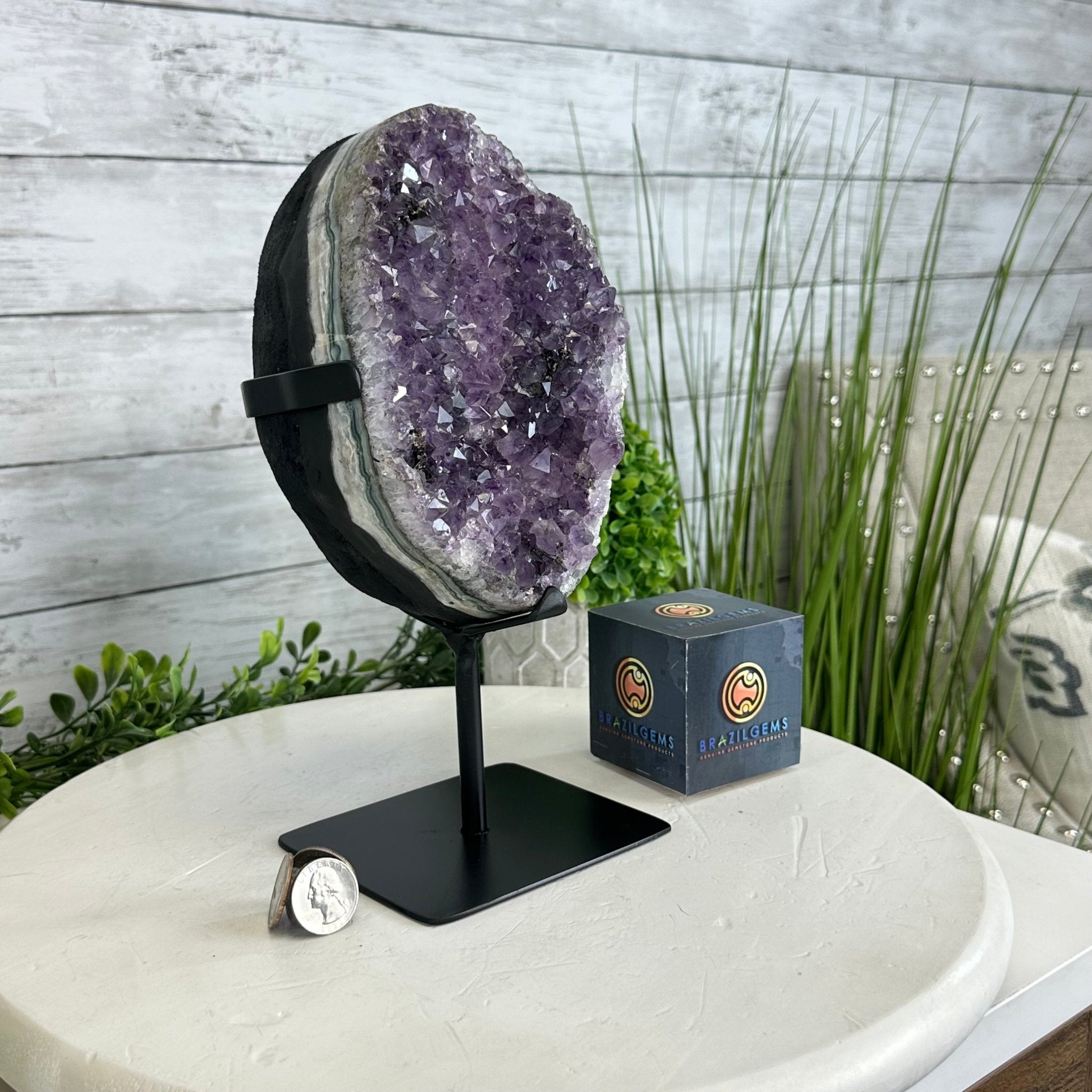 Quality Amethyst Cluster on a Metal Base, 8.5 lbs & 10.5" Tall #5491 - 0050 - Brazil GemsBrazil GemsQuality Amethyst Cluster on a Metal Base, 8.5 lbs & 10.5" Tall #5491 - 0050Clusters on Fixed Bases5491 - 0050