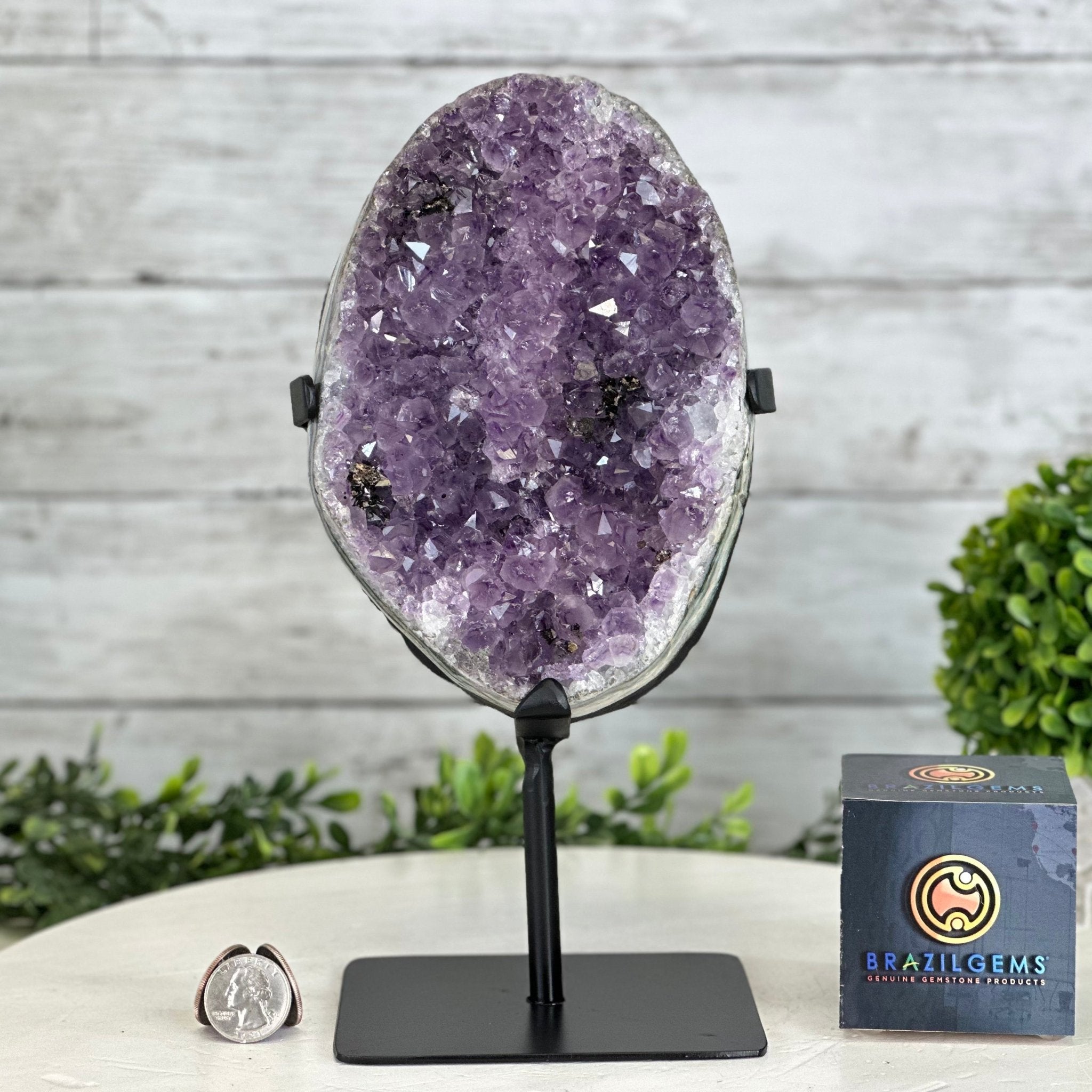 Quality Amethyst Cluster on a Metal Base, 8.5 lbs & 10.5" Tall #5491 - 0050 - Brazil GemsBrazil GemsQuality Amethyst Cluster on a Metal Base, 8.5 lbs & 10.5" Tall #5491 - 0050Clusters on Fixed Bases5491 - 0050