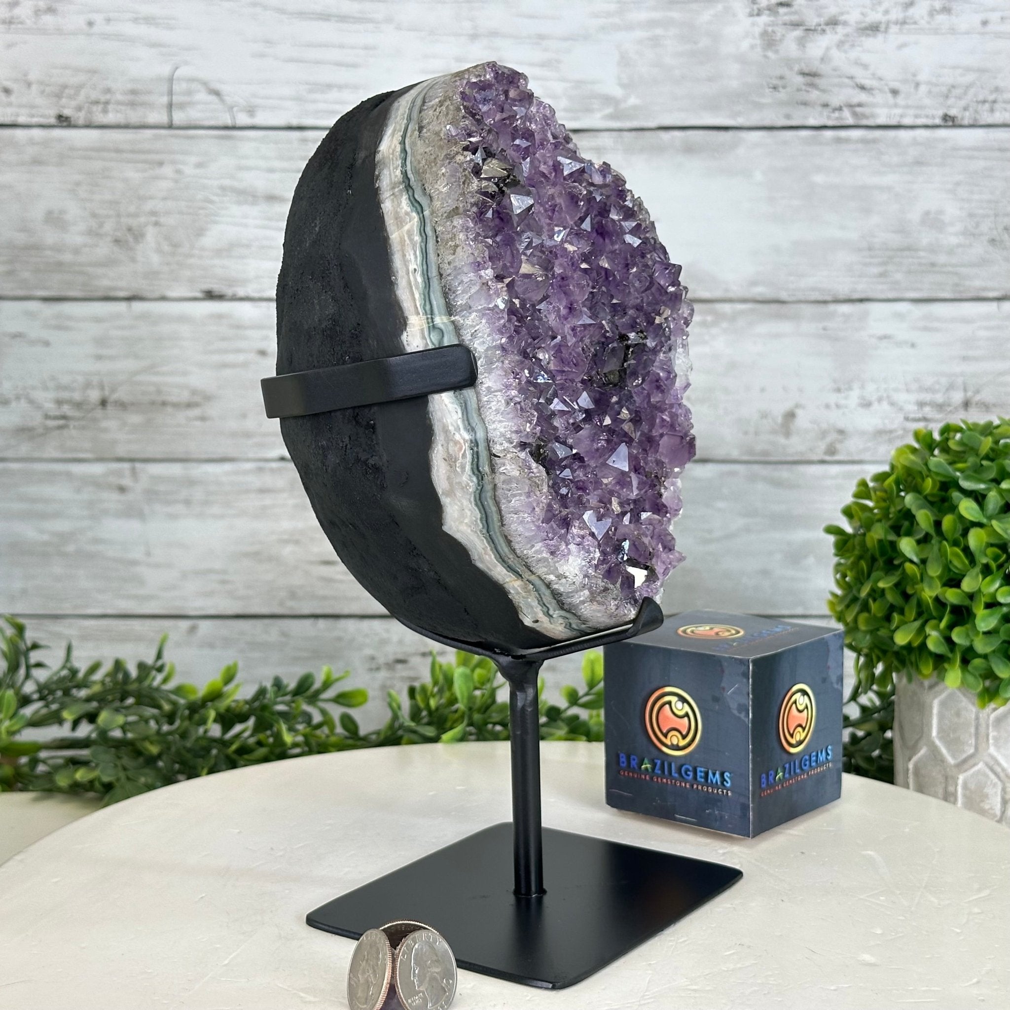 Quality Amethyst Cluster on a Metal Base, 8.5 lbs & 10.5" Tall #5491 - 0050 - Brazil GemsBrazil GemsQuality Amethyst Cluster on a Metal Base, 8.5 lbs & 10.5" Tall #5491 - 0050Clusters on Fixed Bases5491 - 0050