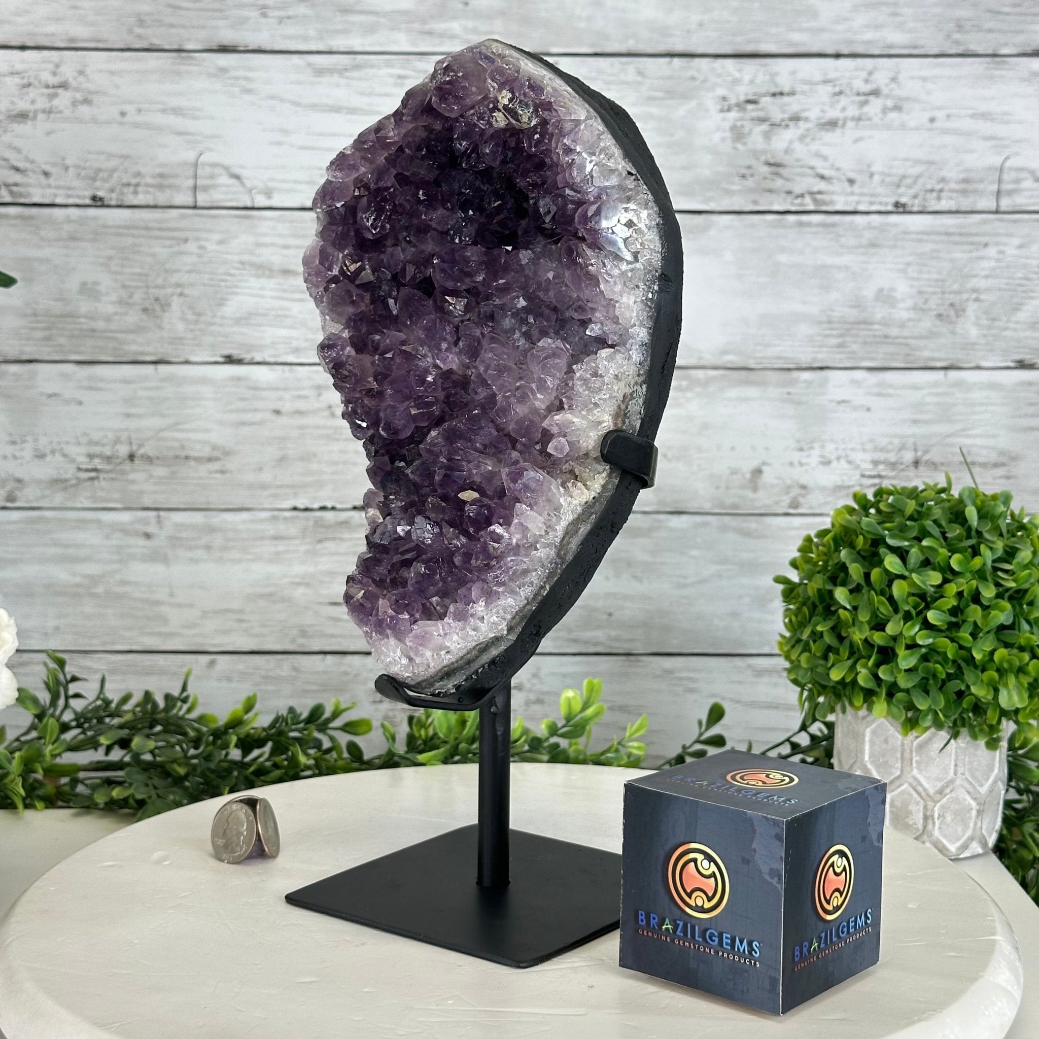 Quality Amethyst Cluster on a Metal Base, 9.3 lbs & 12.5" Tall #5491 - 0051 - Brazil GemsBrazil GemsQuality Amethyst Cluster on a Metal Base, 9.3 lbs & 12.5" Tall #5491 - 0051Clusters on Fixed Bases5491 - 0051