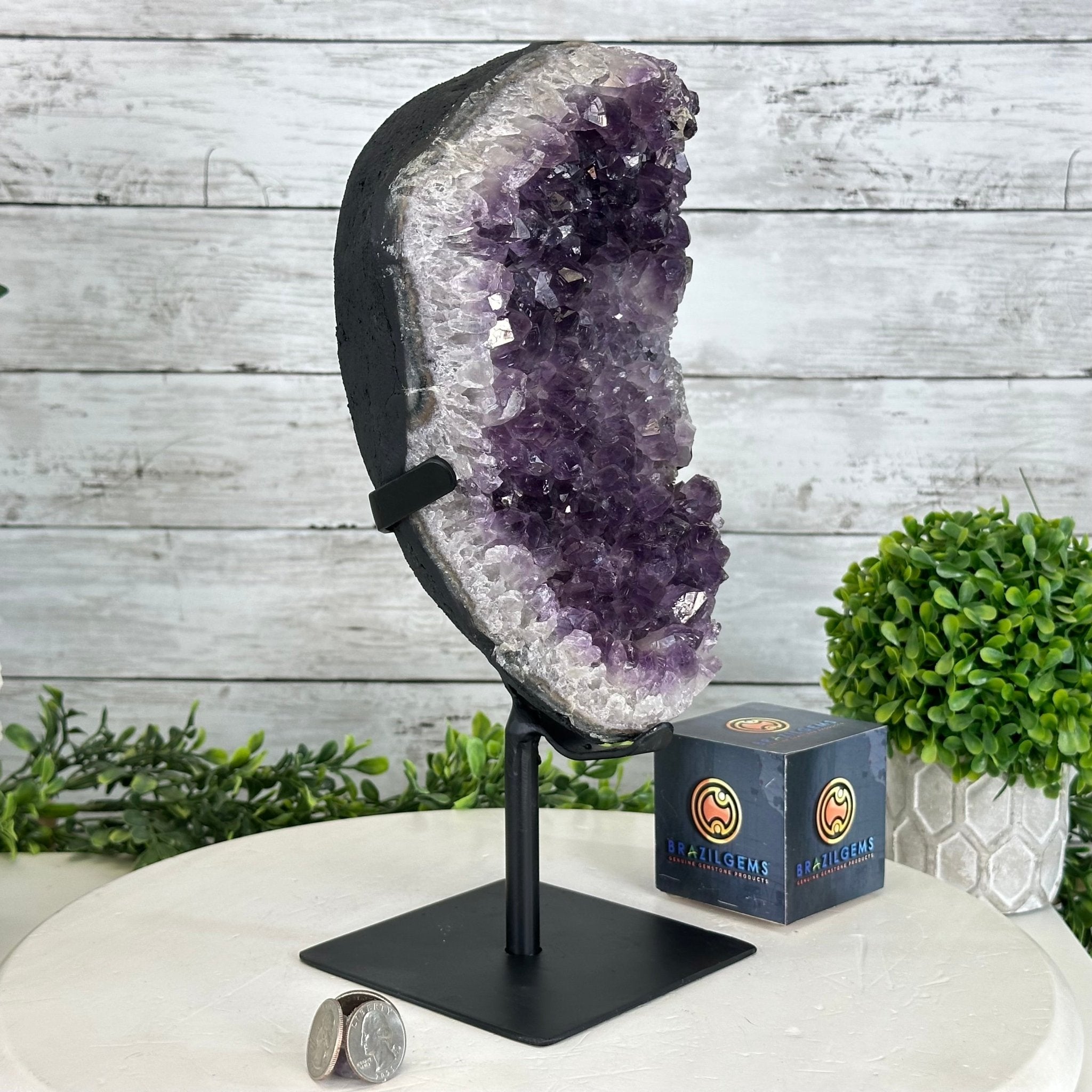 Quality Amethyst Cluster on a Metal Base, 9.3 lbs & 12.5" Tall #5491 - 0051 - Brazil GemsBrazil GemsQuality Amethyst Cluster on a Metal Base, 9.3 lbs & 12.5" Tall #5491 - 0051Clusters on Fixed Bases5491 - 0051