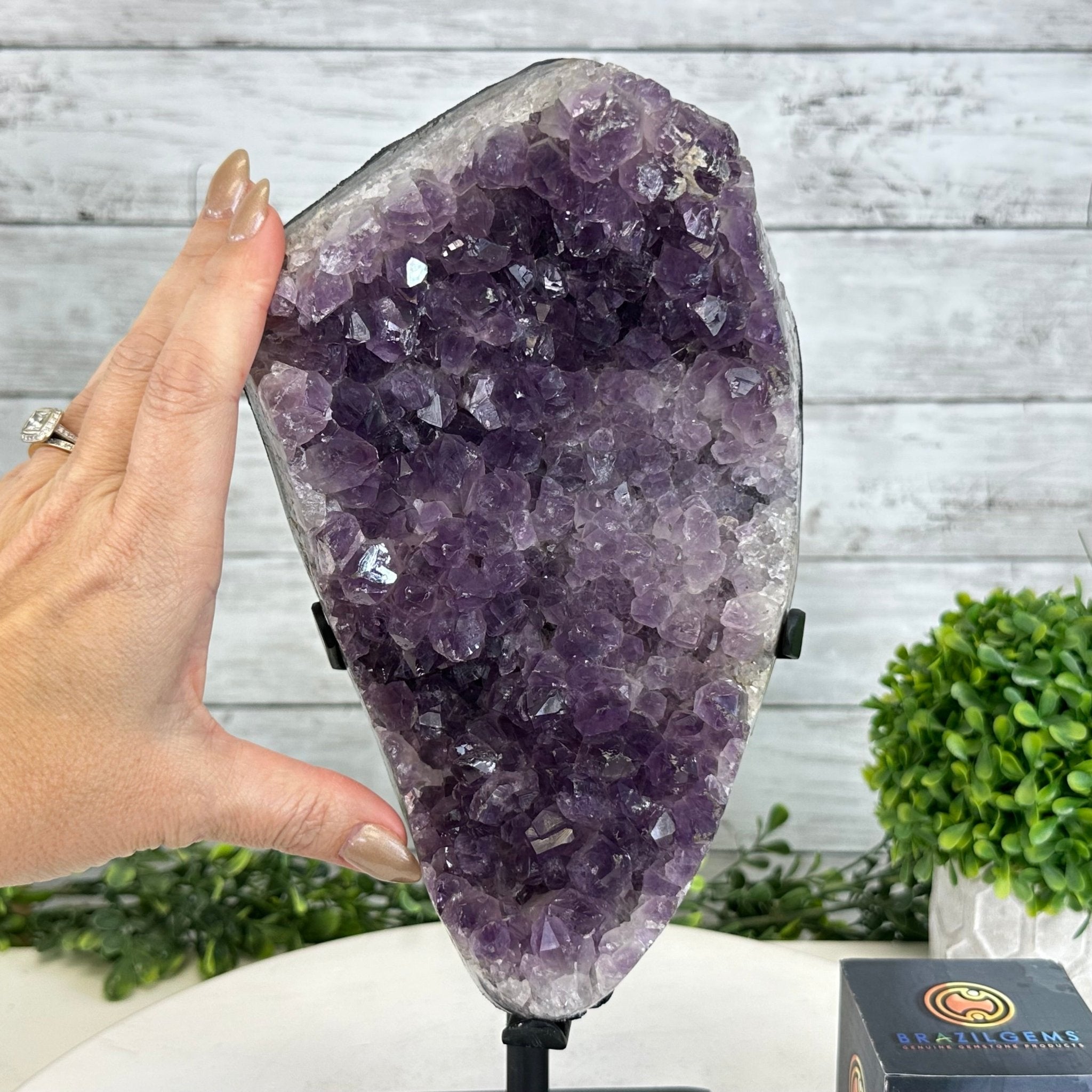 Quality Amethyst Cluster on a Metal Base, 9.3 lbs & 12.5" Tall #5491 - 0051 - Brazil GemsBrazil GemsQuality Amethyst Cluster on a Metal Base, 9.3 lbs & 12.5" Tall #5491 - 0051Clusters on Fixed Bases5491 - 0051